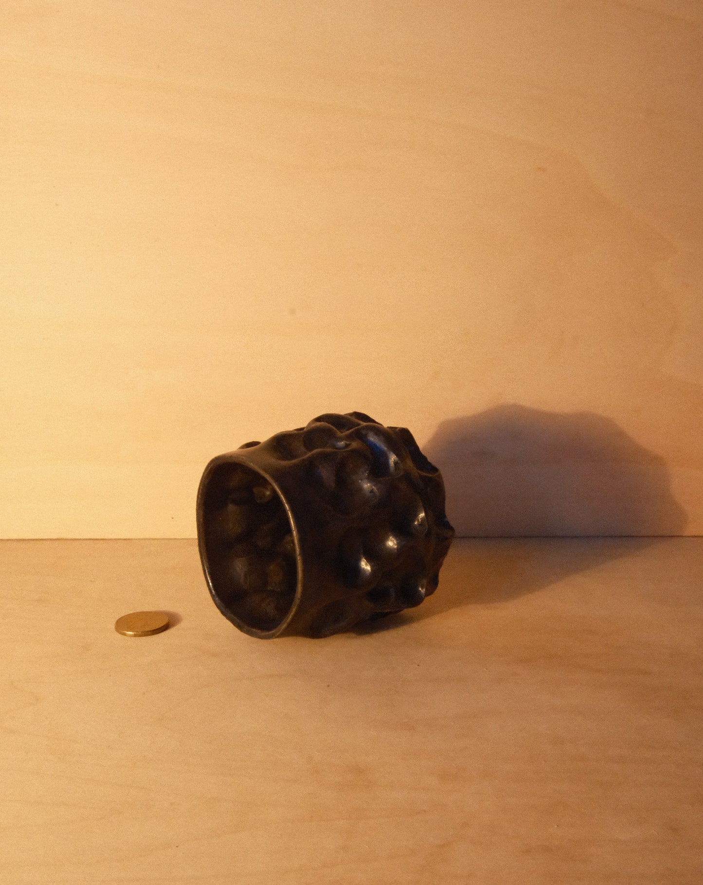 BLACK MOREL CUP 008