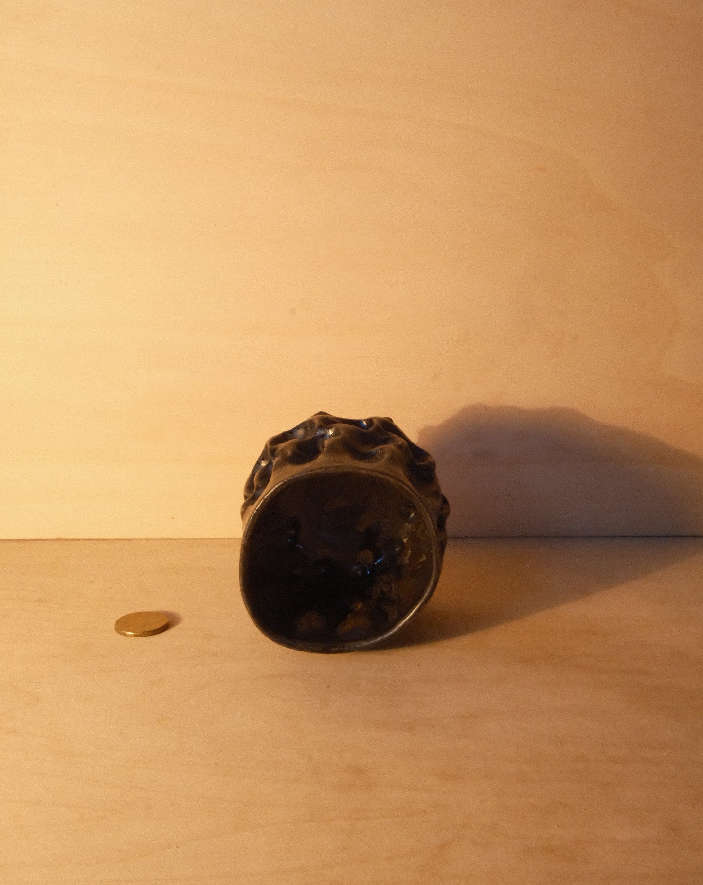 BLACK MOREL CUP 008