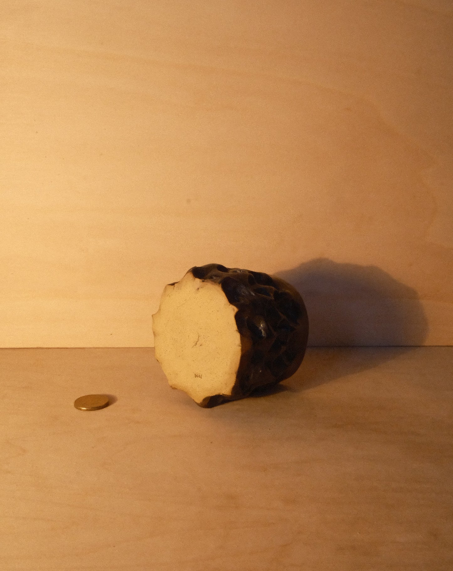 BLACK MOREL CUP 008
