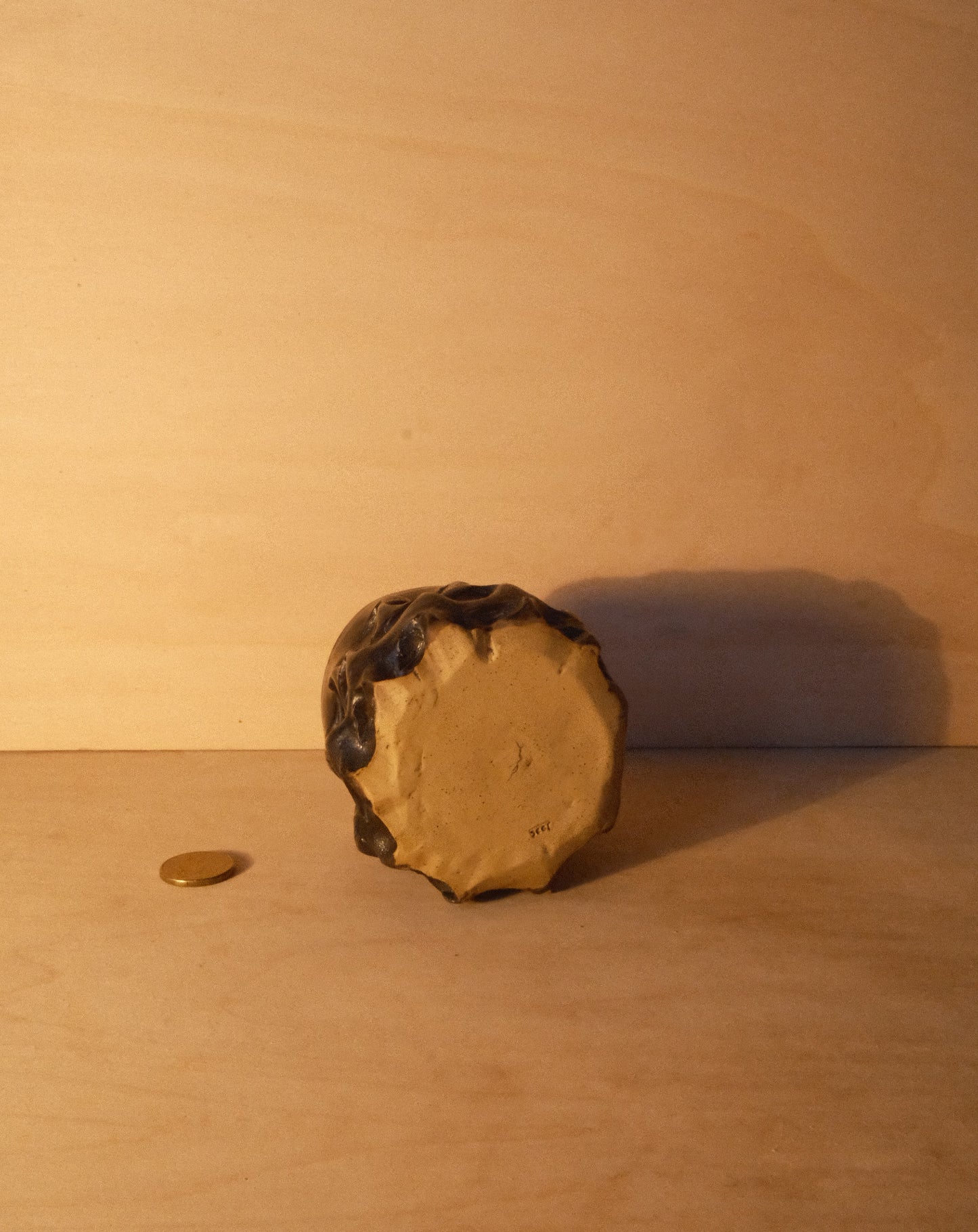 BLACK MOREL CUP 008