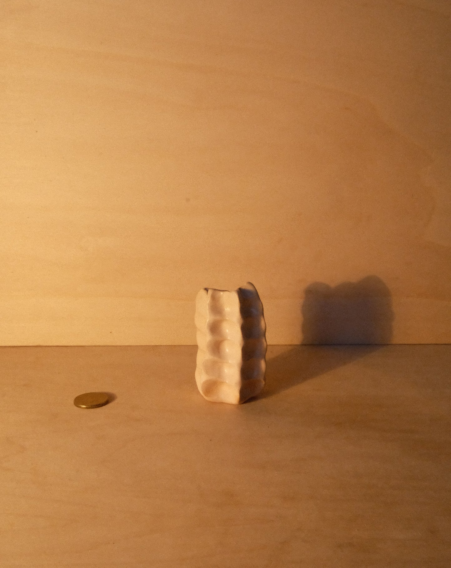 WHITE MOREL VASE 002