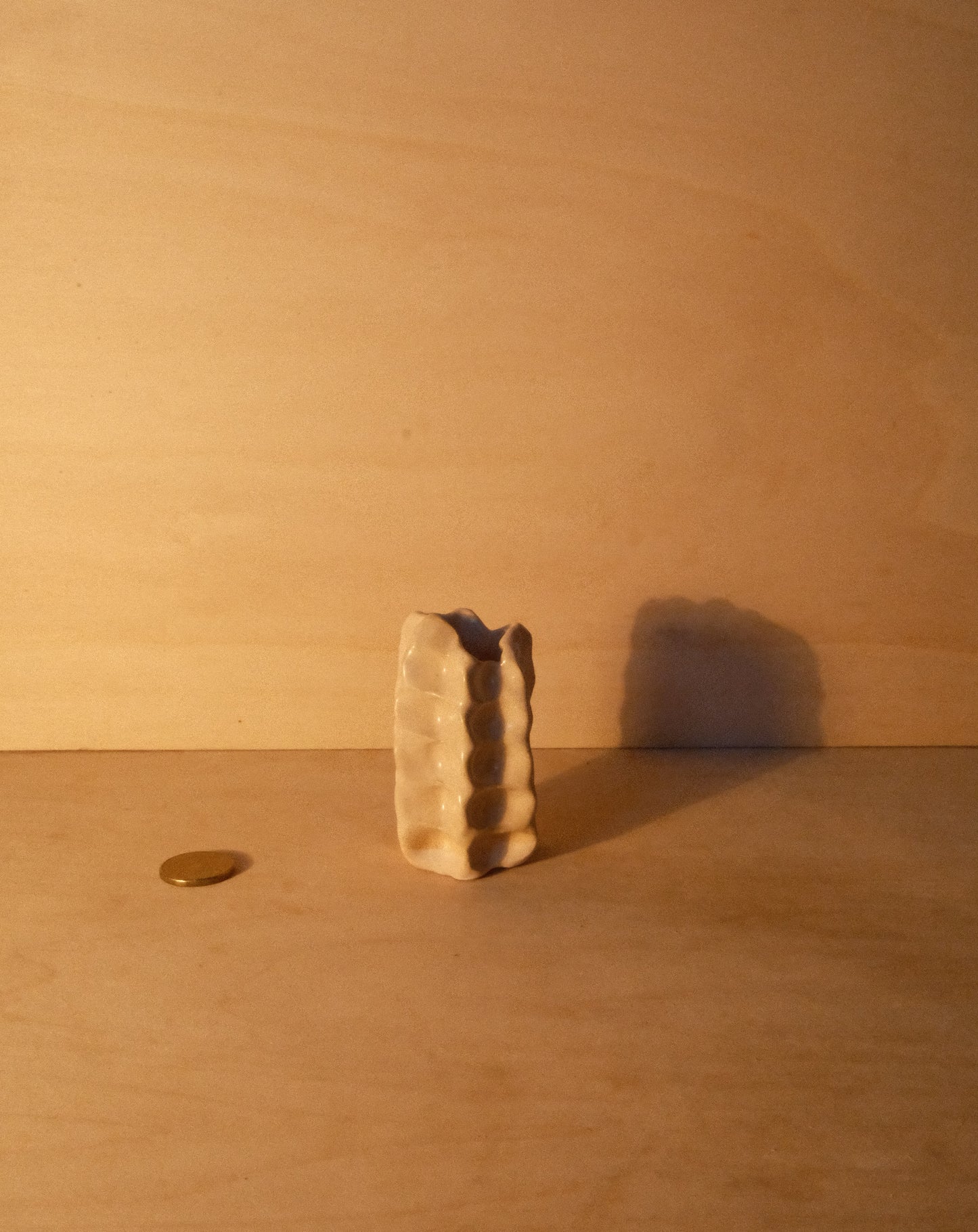 WHITE MOREL VASE 002