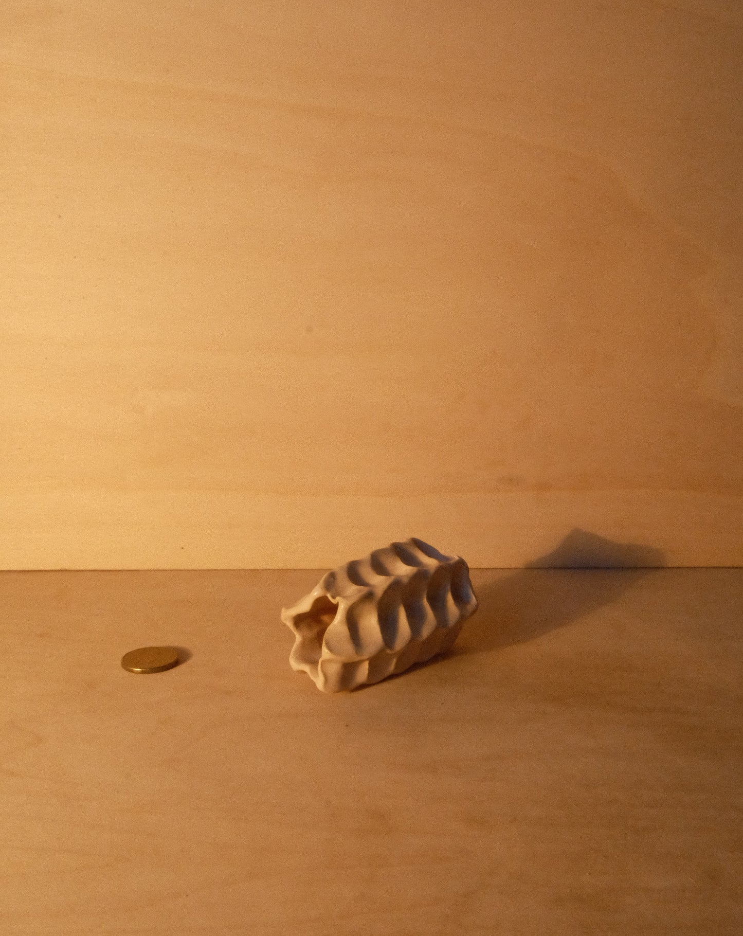 WHITE MOREL VASE 002