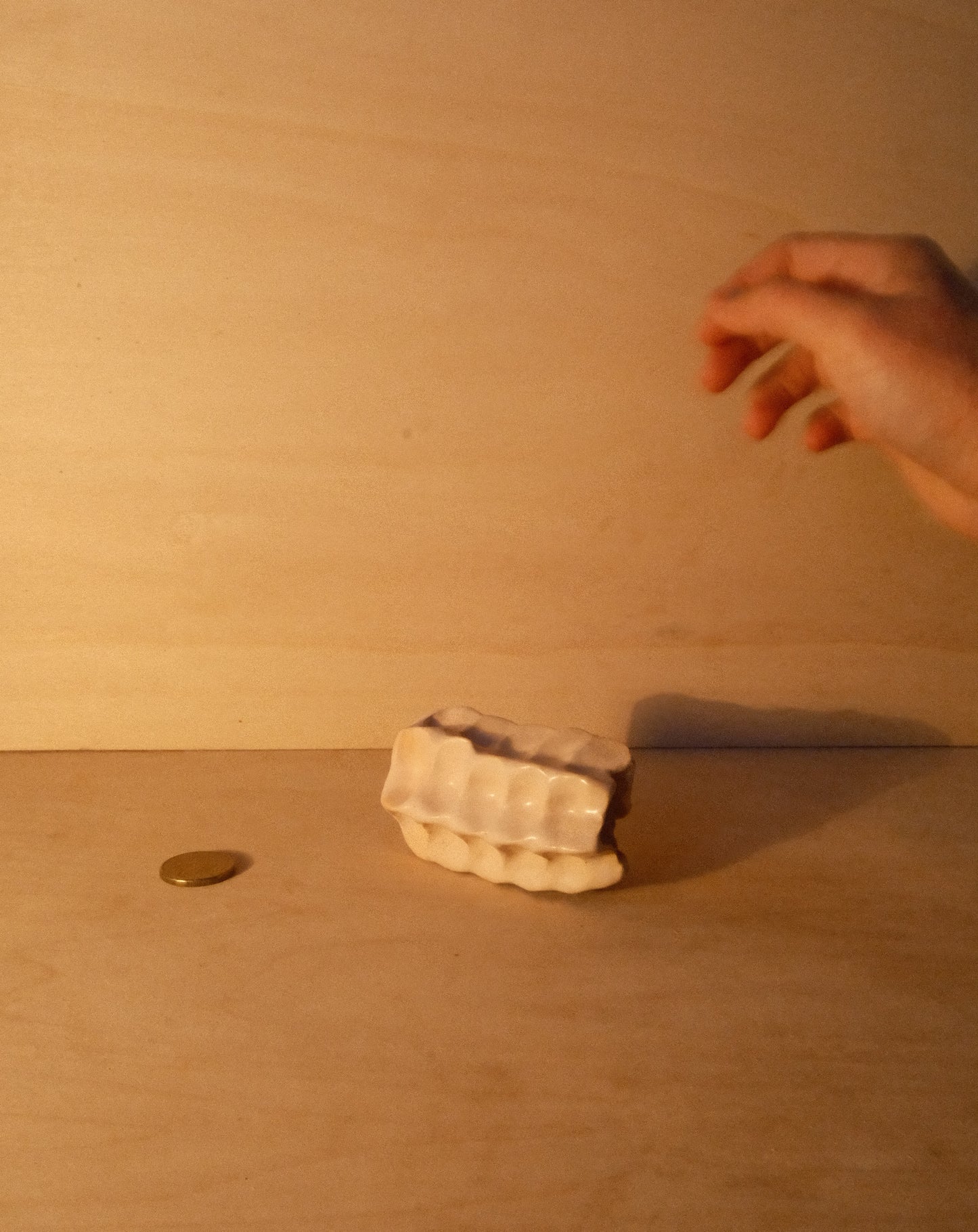 WHITE MOREL VASE 002