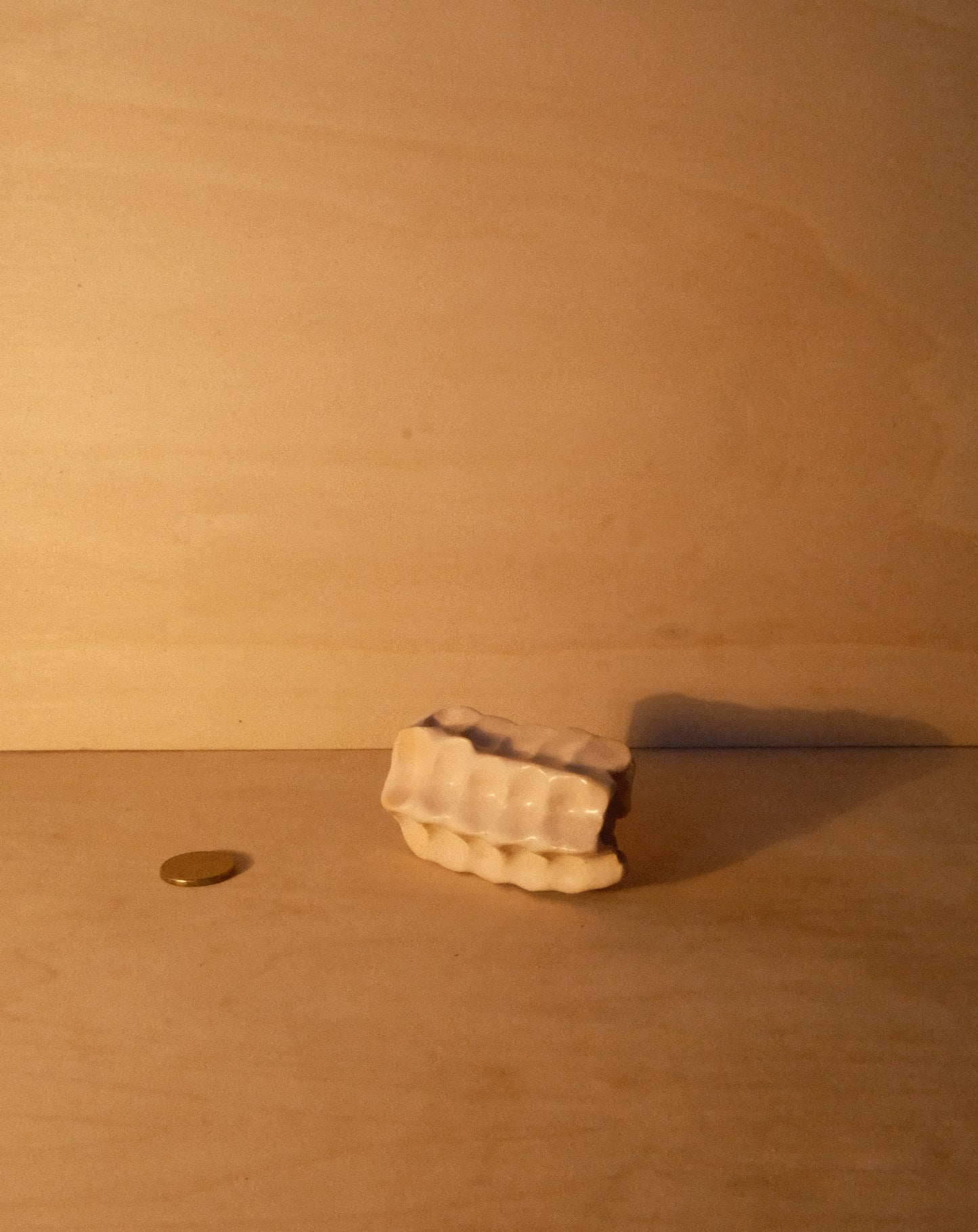 WHITE MOREL VASE 002