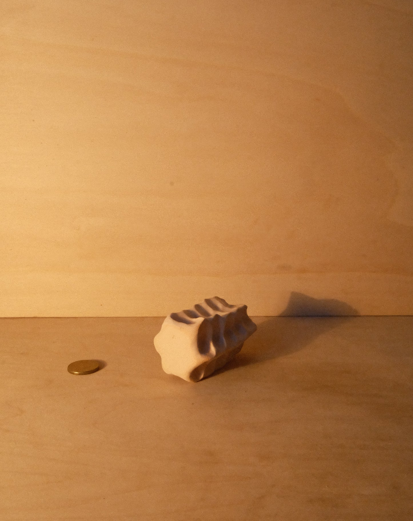 WHITE MOREL VASE 002