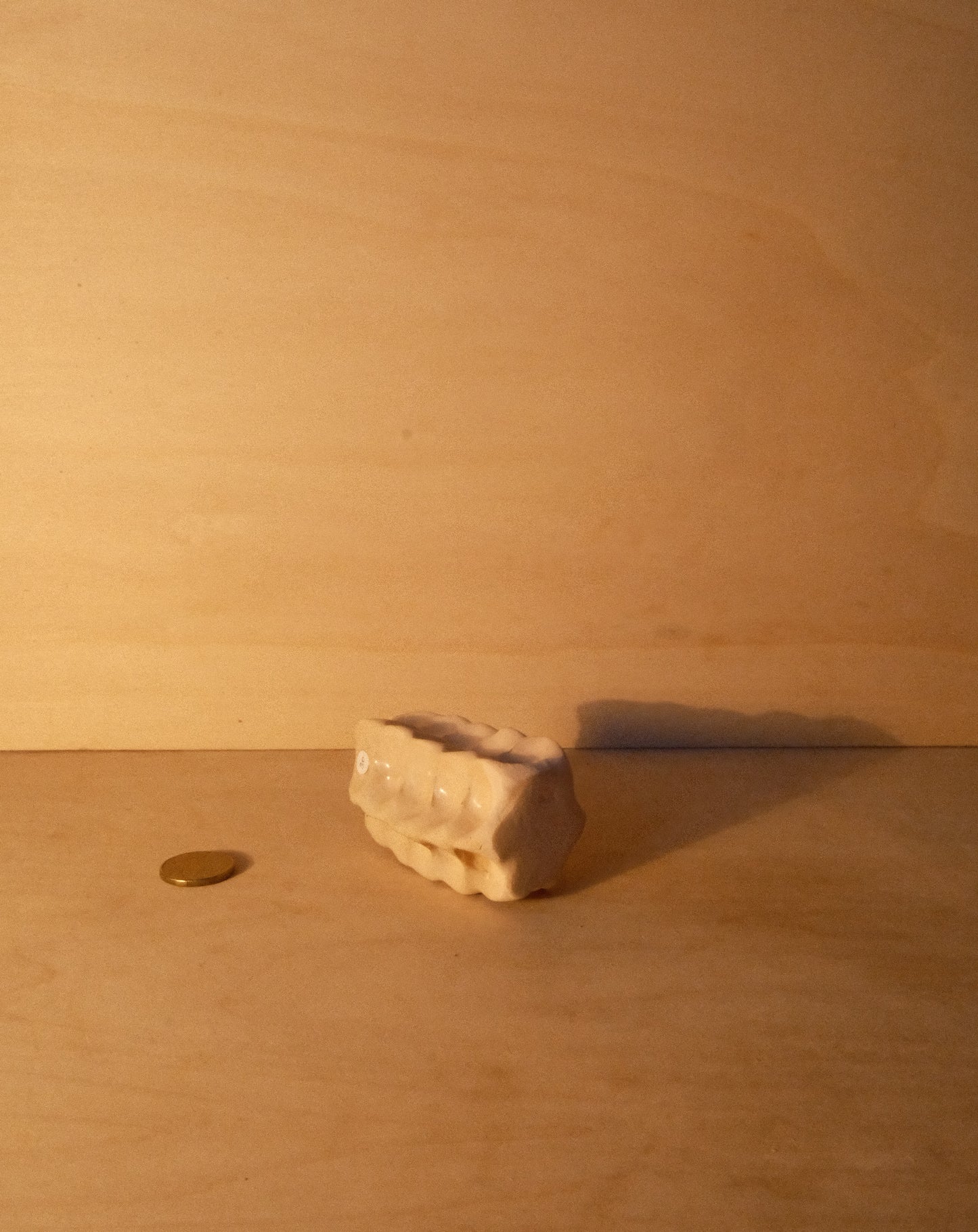 WHITE MOREL VASE 002