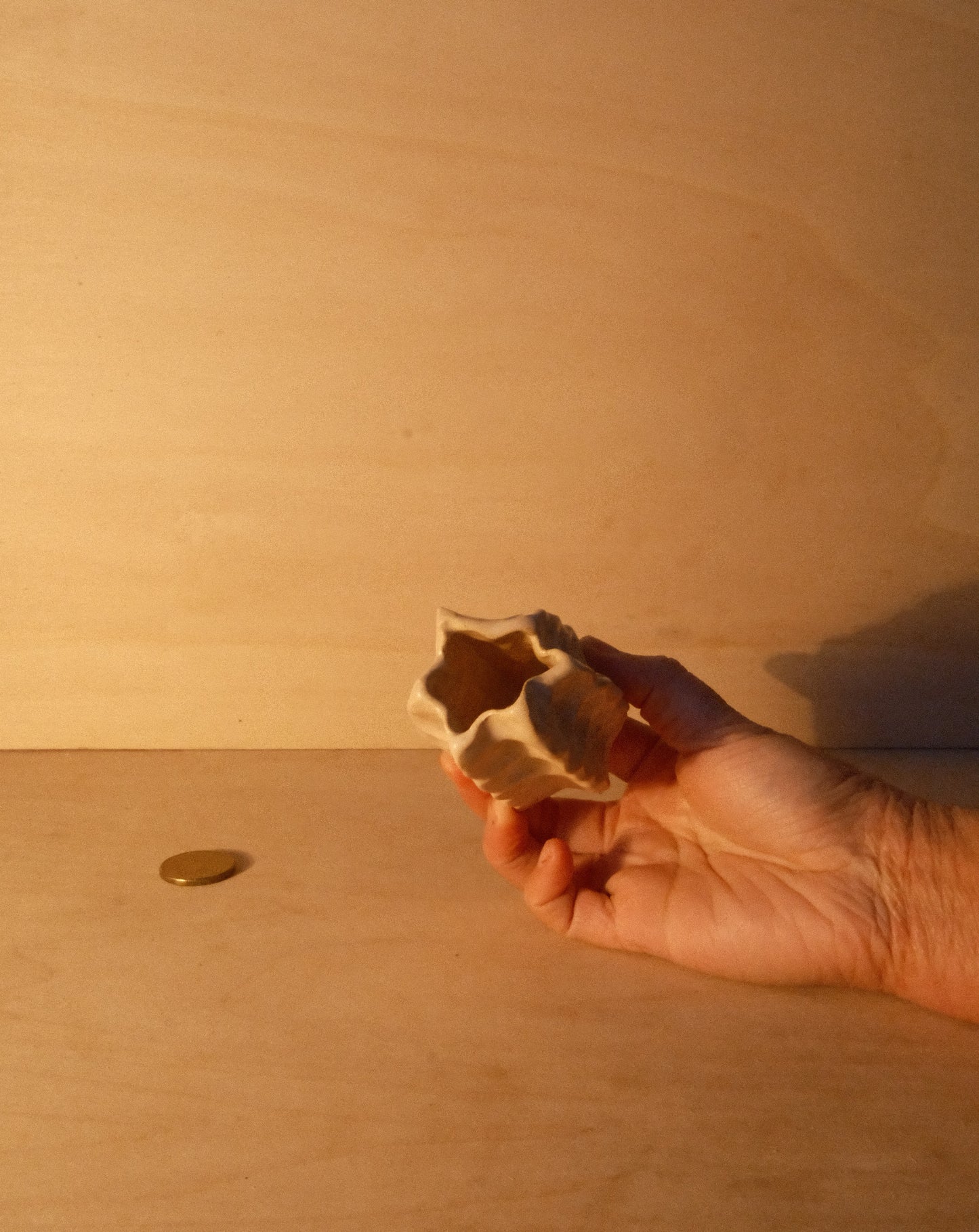 WHITE MOREL VASE 002