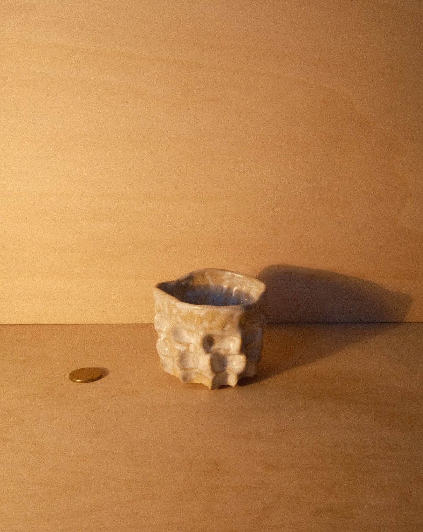 WHITE MOREL CUP 010
