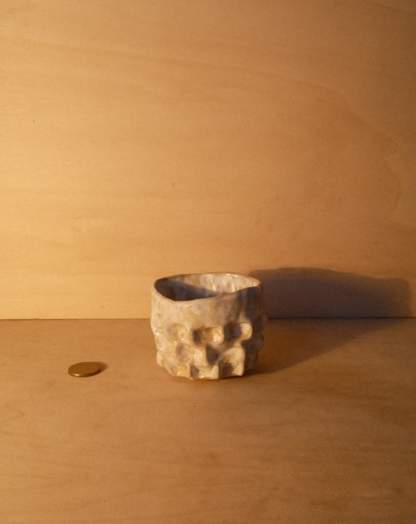 WHITE MOREL CUP 010