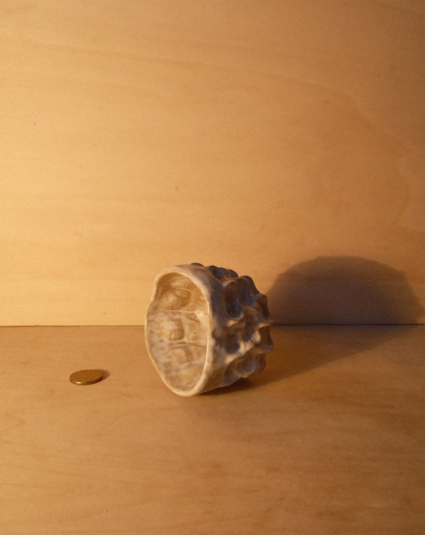 WHITE MOREL CUP 010