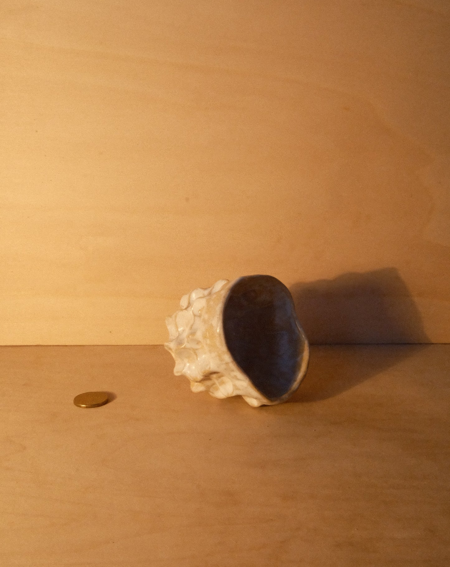 WHITE MOREL CUP 010