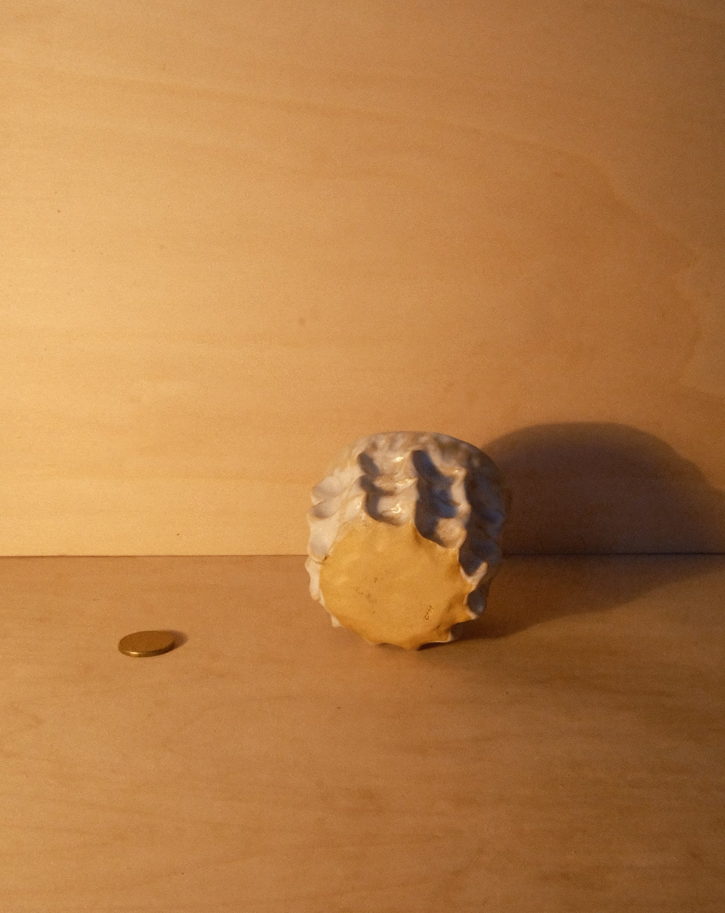 WHITE MOREL CUP 010