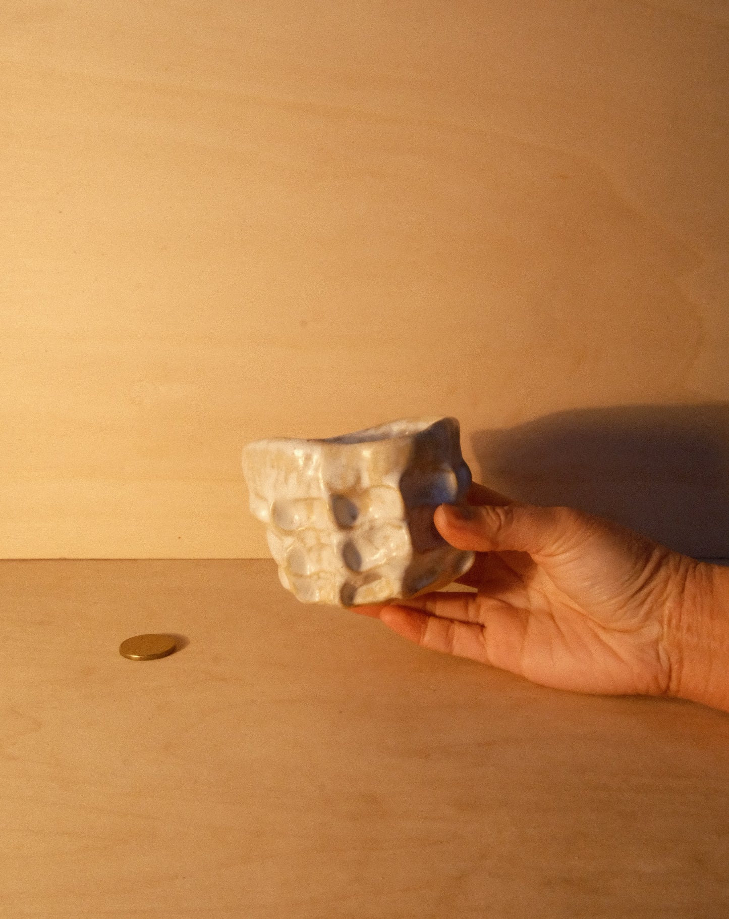 WHITE MOREL CUP 010