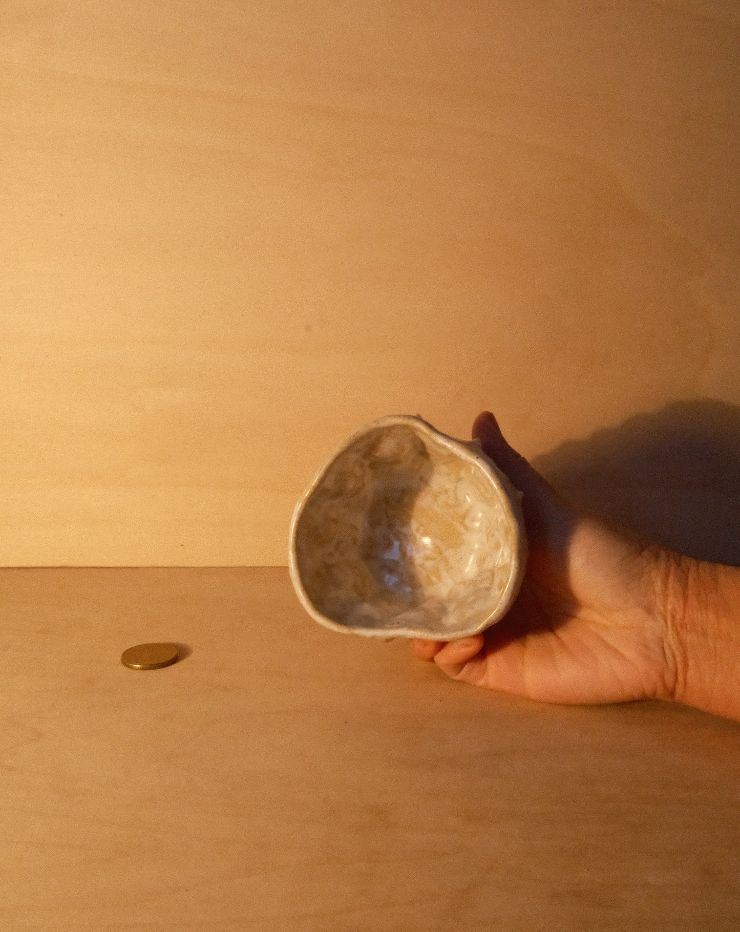 WHITE MOREL CUP 010