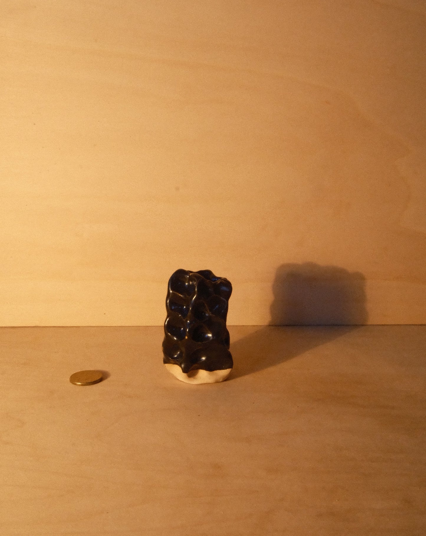 BLACK MOREL VASE 006