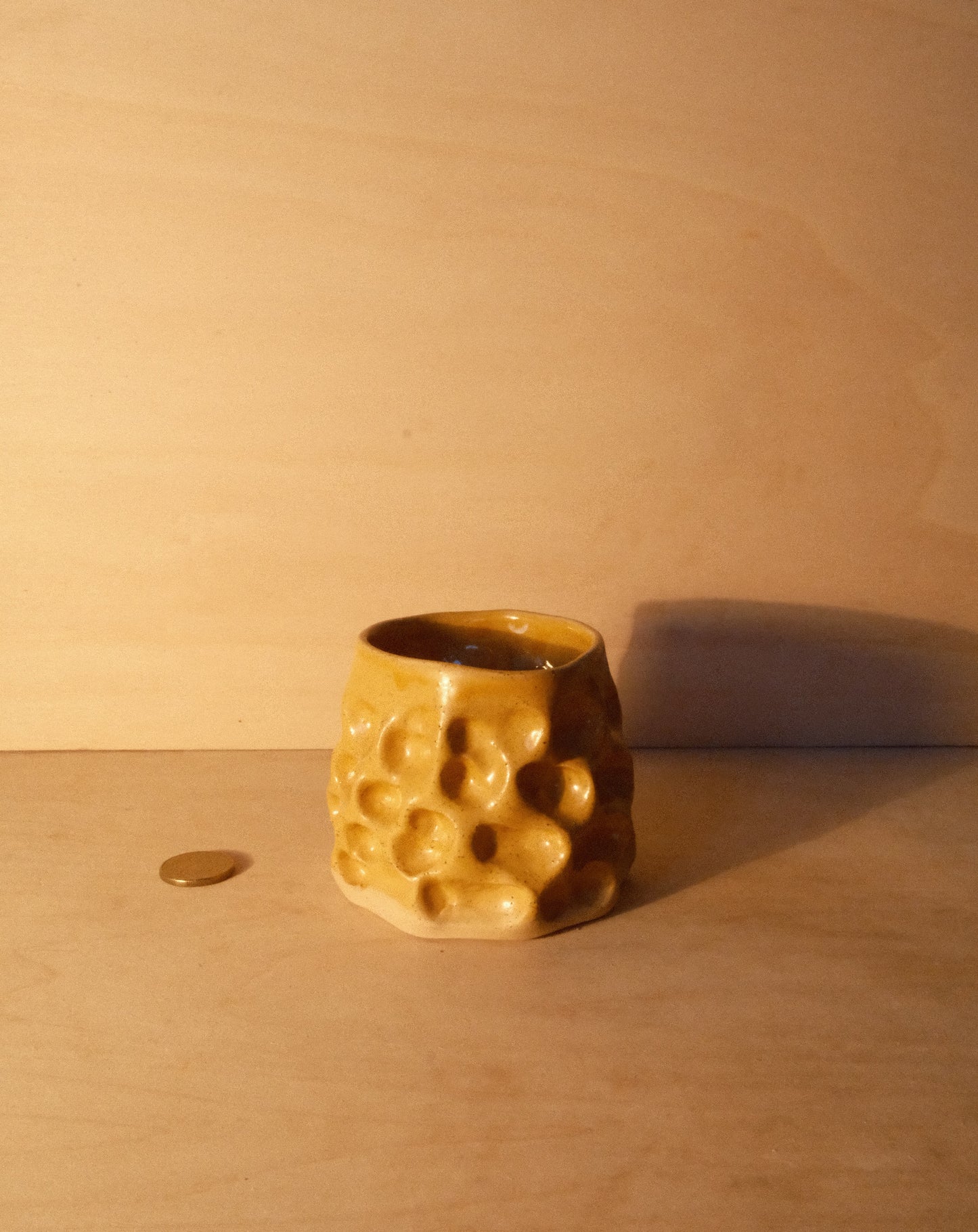 HONEY MOREL CUP 006