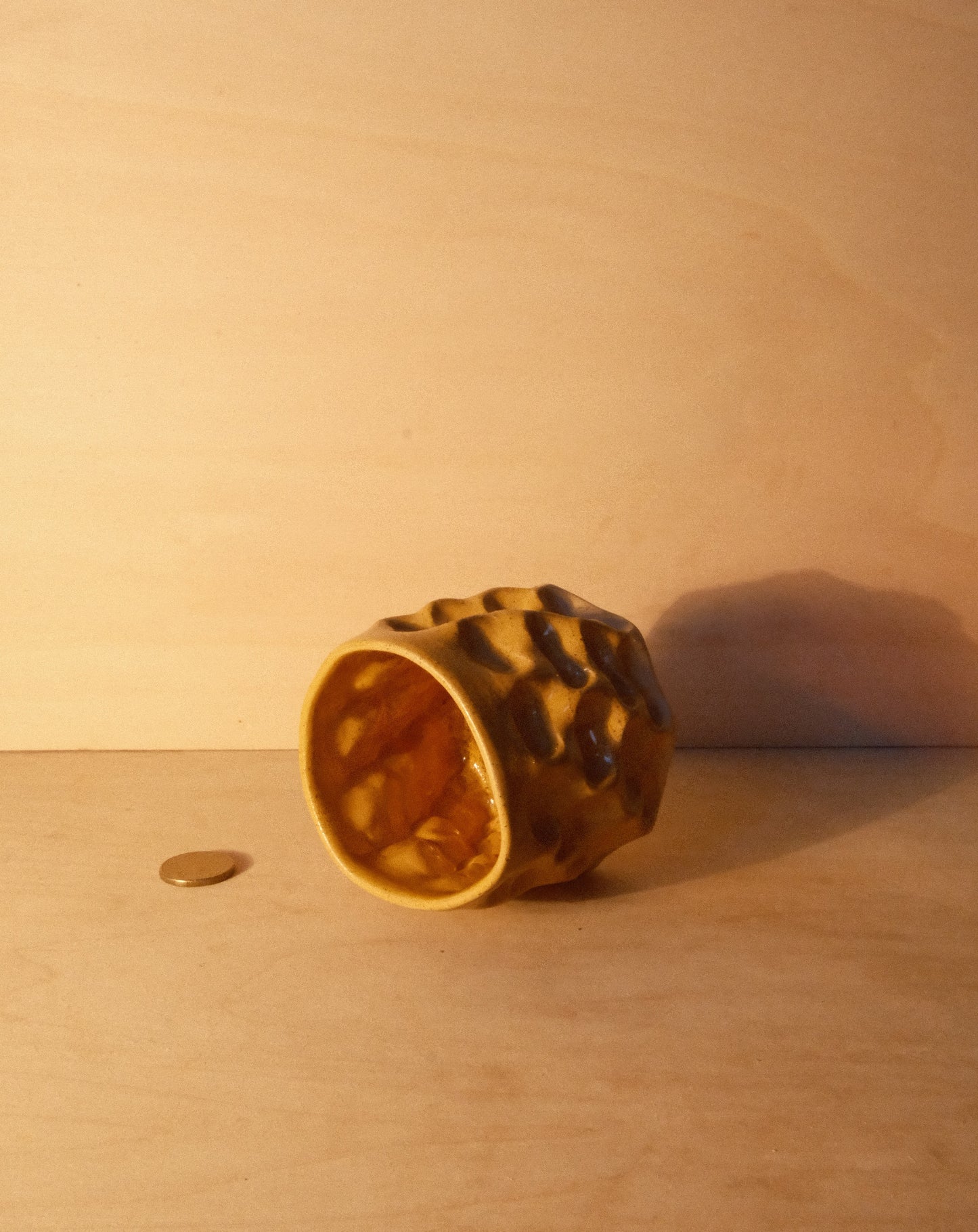 HONEY MOREL CUP 006
