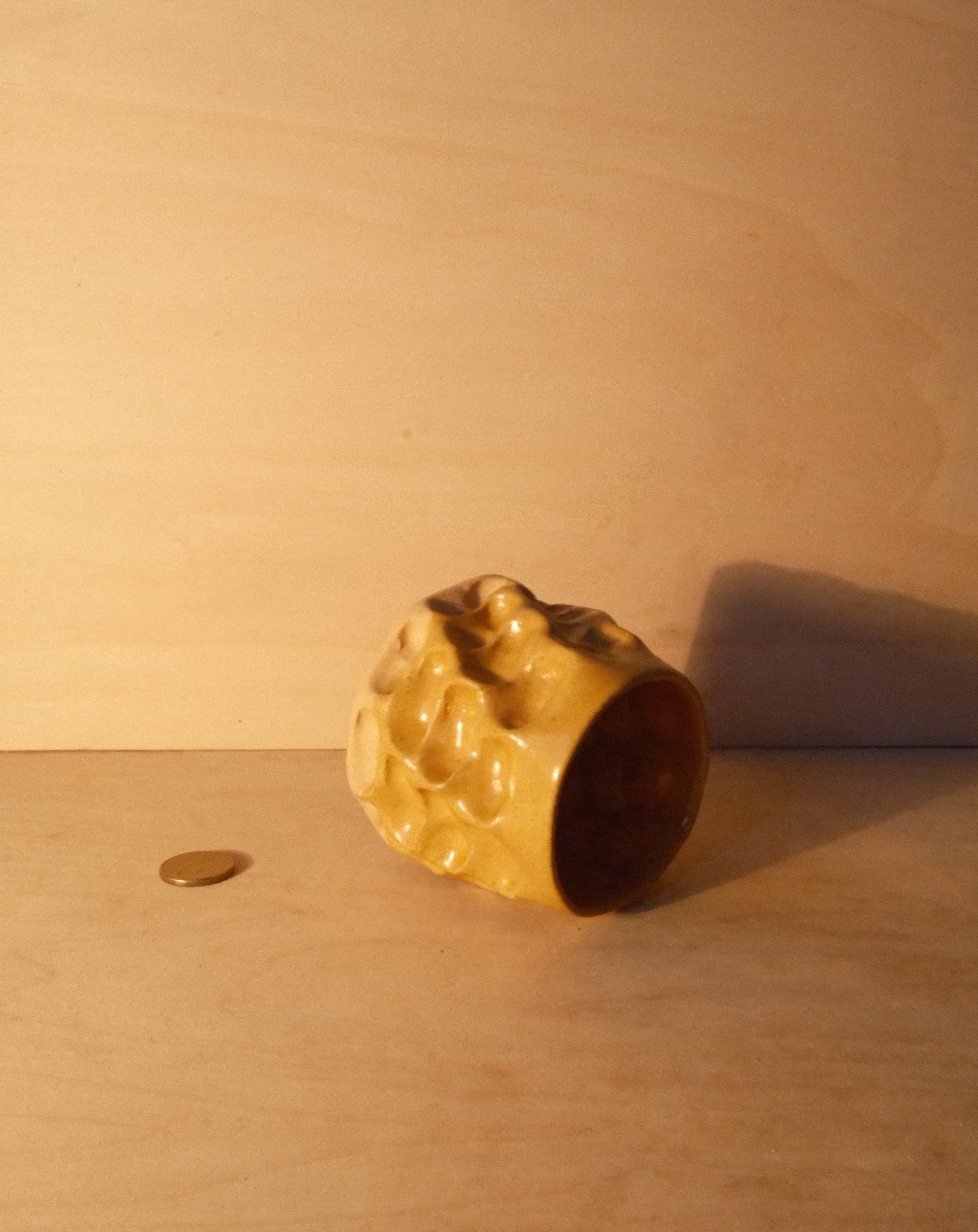 HONEY MOREL CUP 006