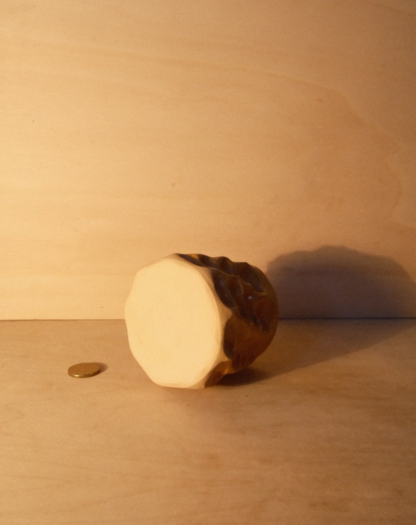 HONEY MOREL CUP 006