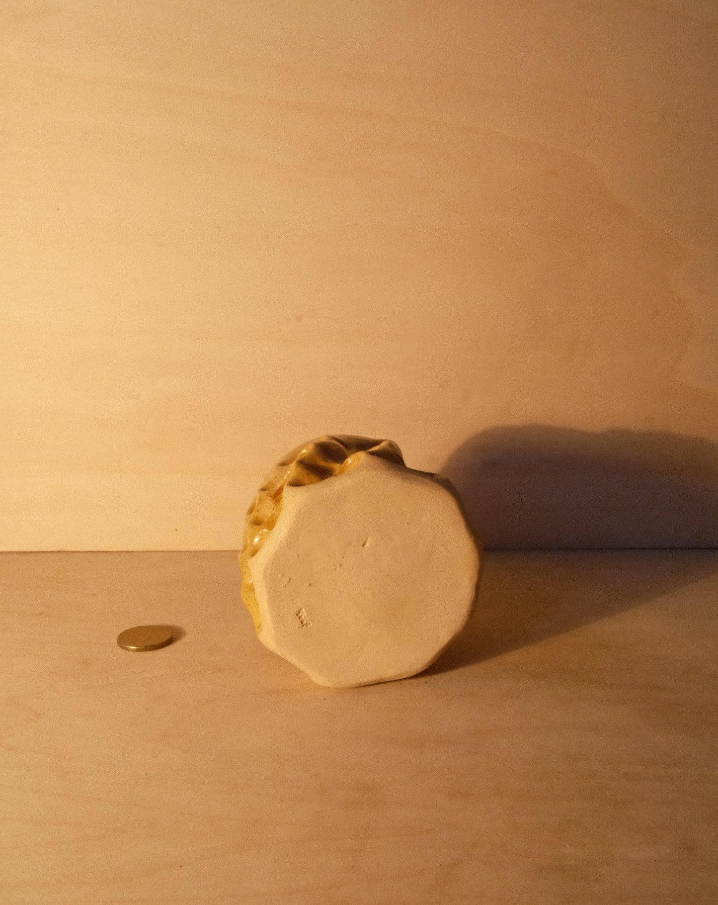 HONEY MOREL CUP 006