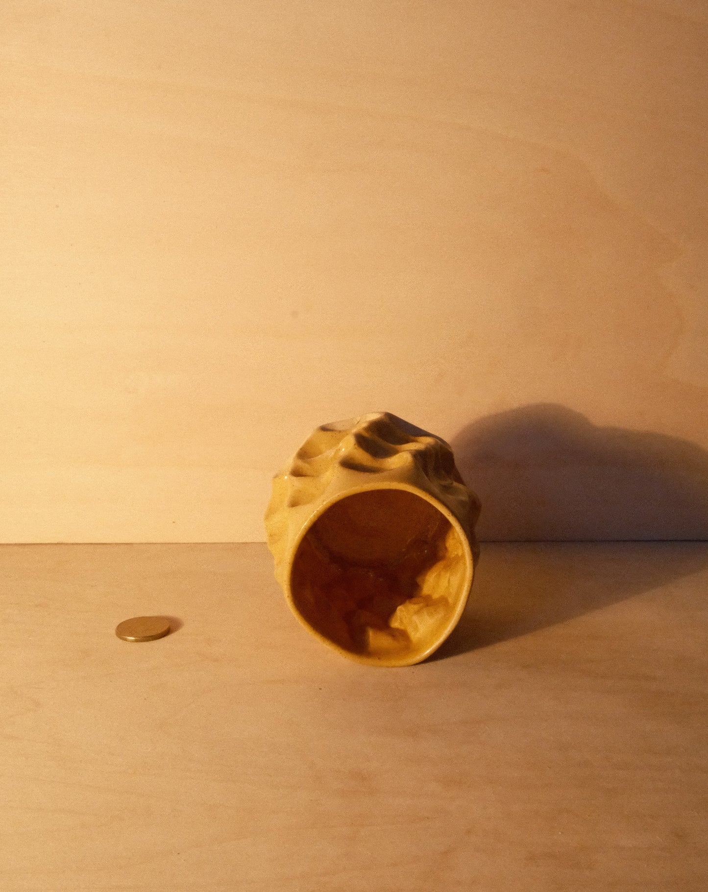 HONEY MOREL CUP 006