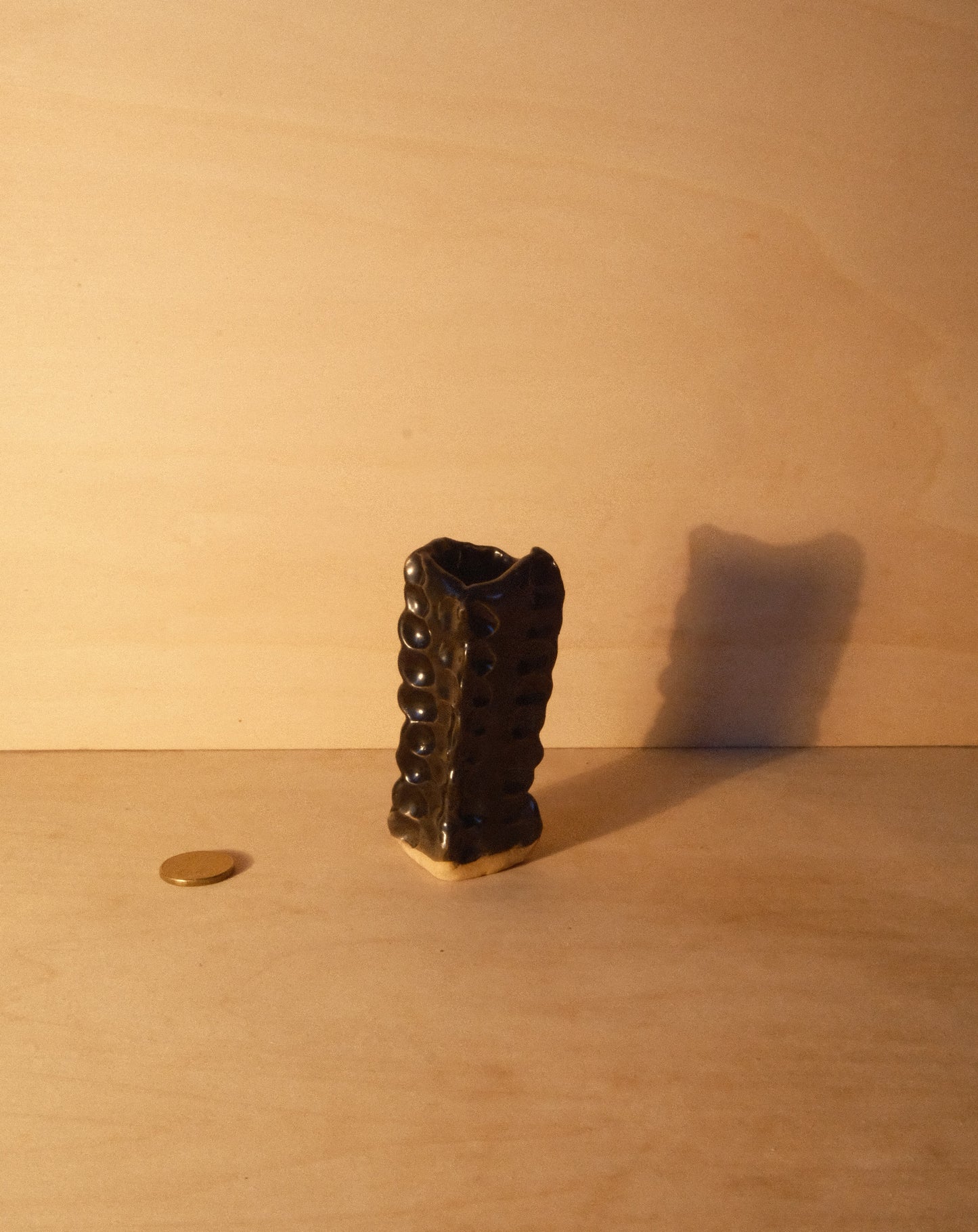 BLACK MOREL VASE 007
