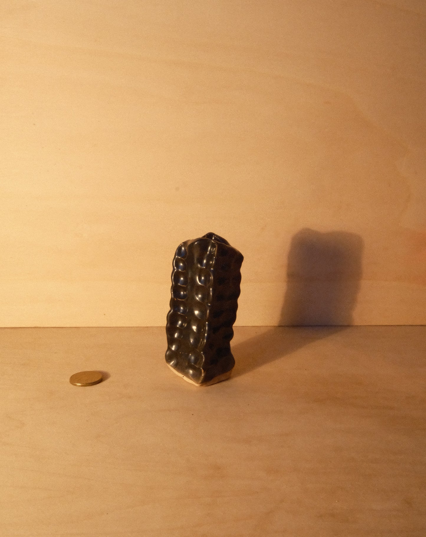 BLACK MOREL VASE 007