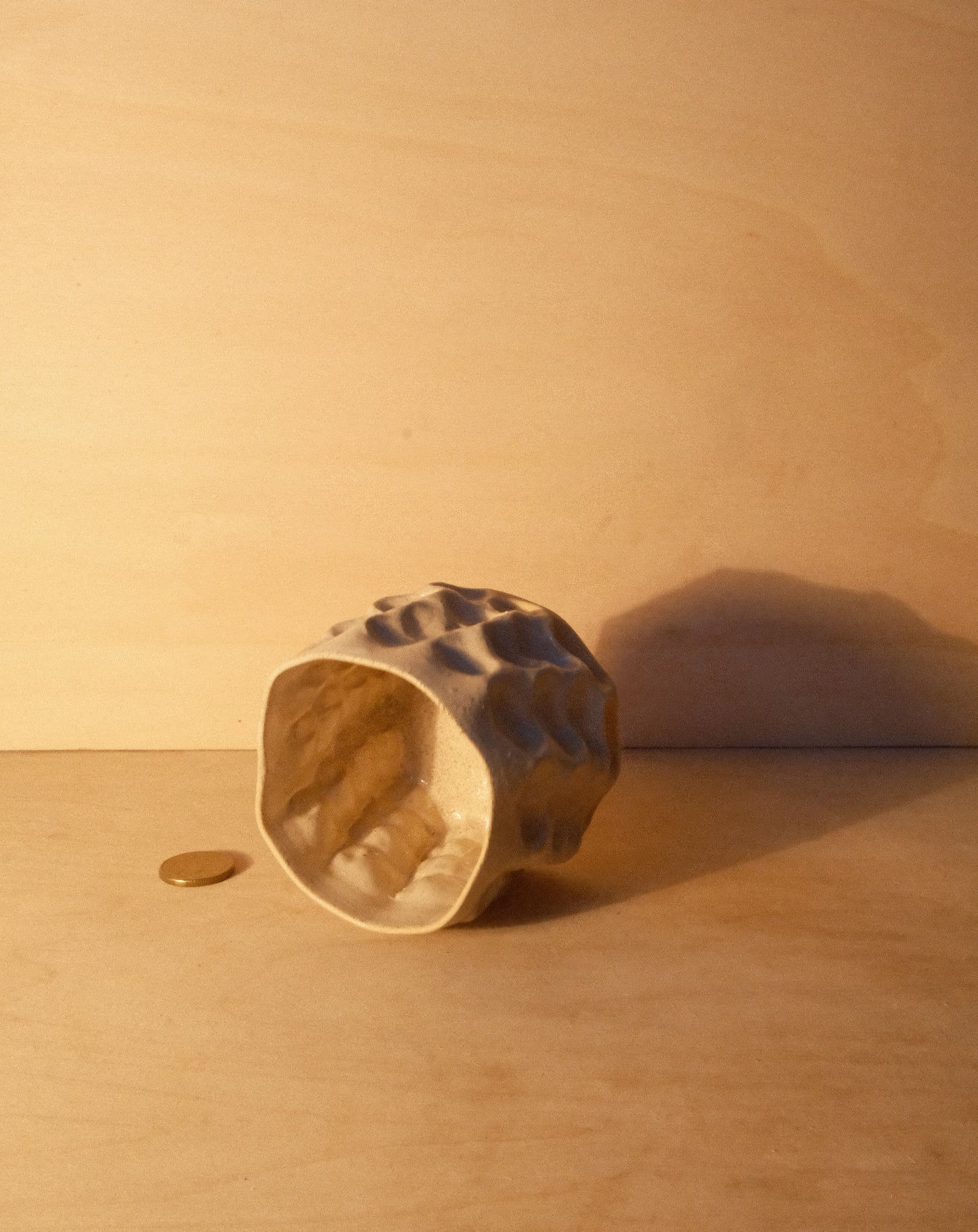 DUSK MOREL CUP 009