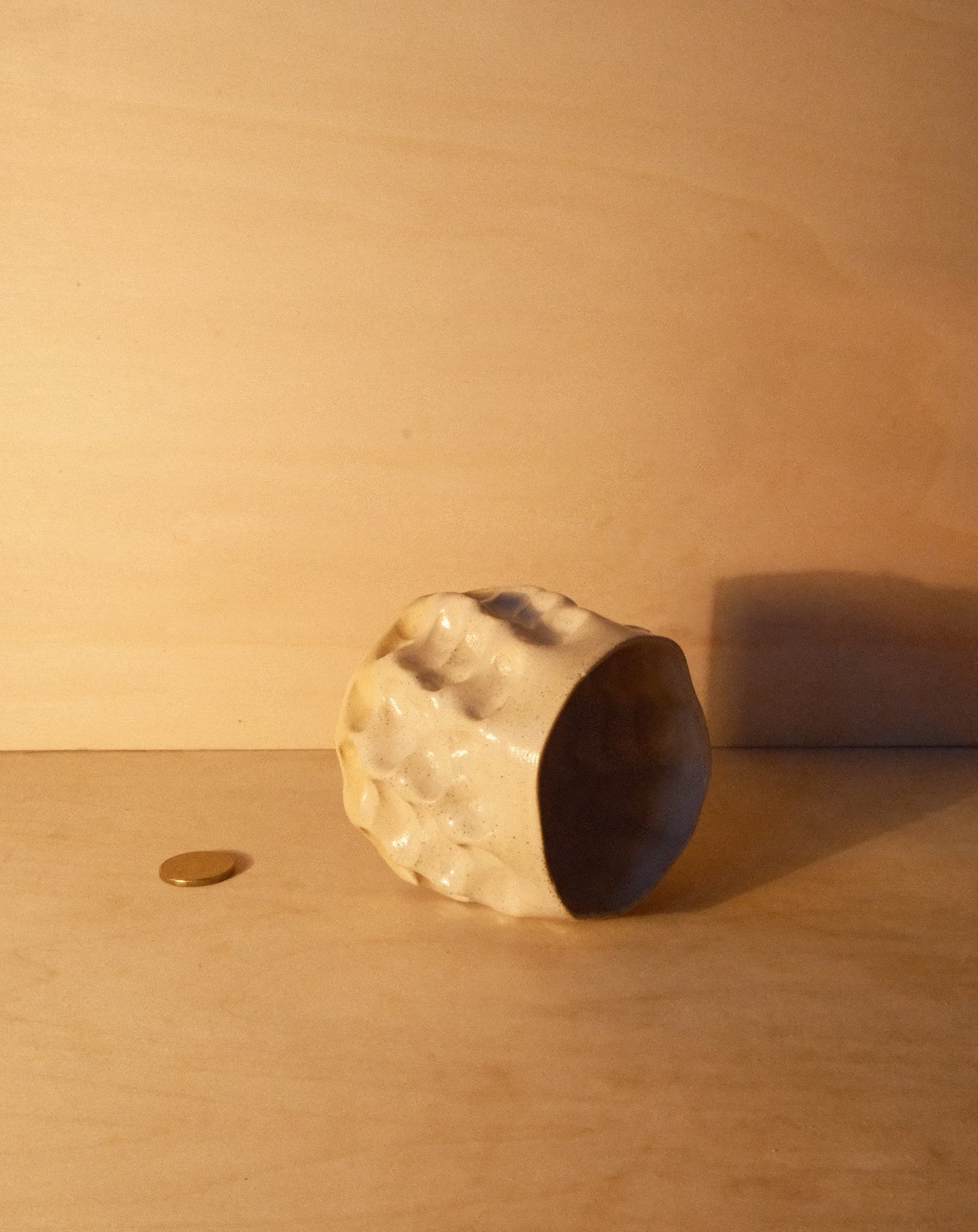 DUSK MOREL CUP 009