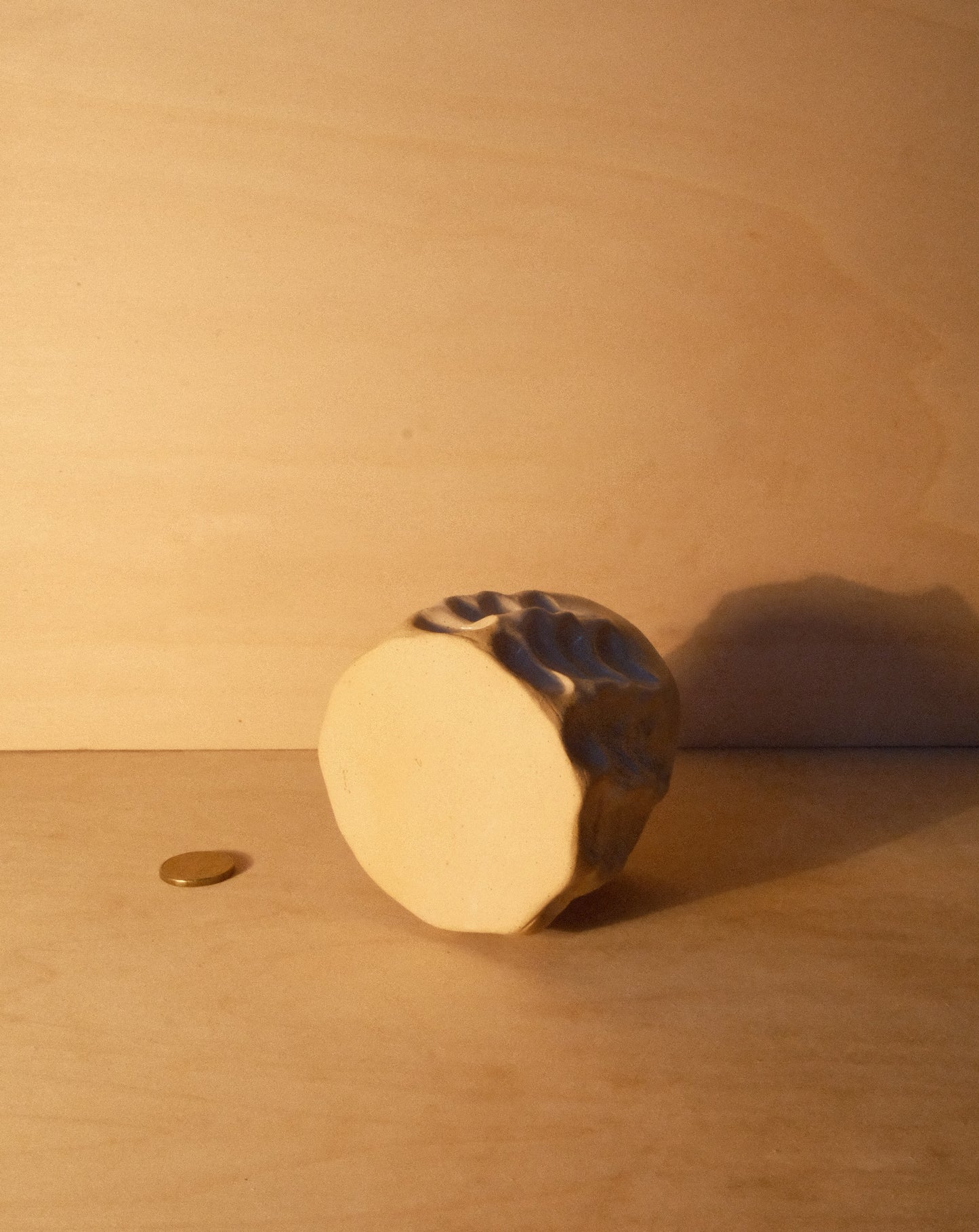 DUSK MOREL CUP 009
