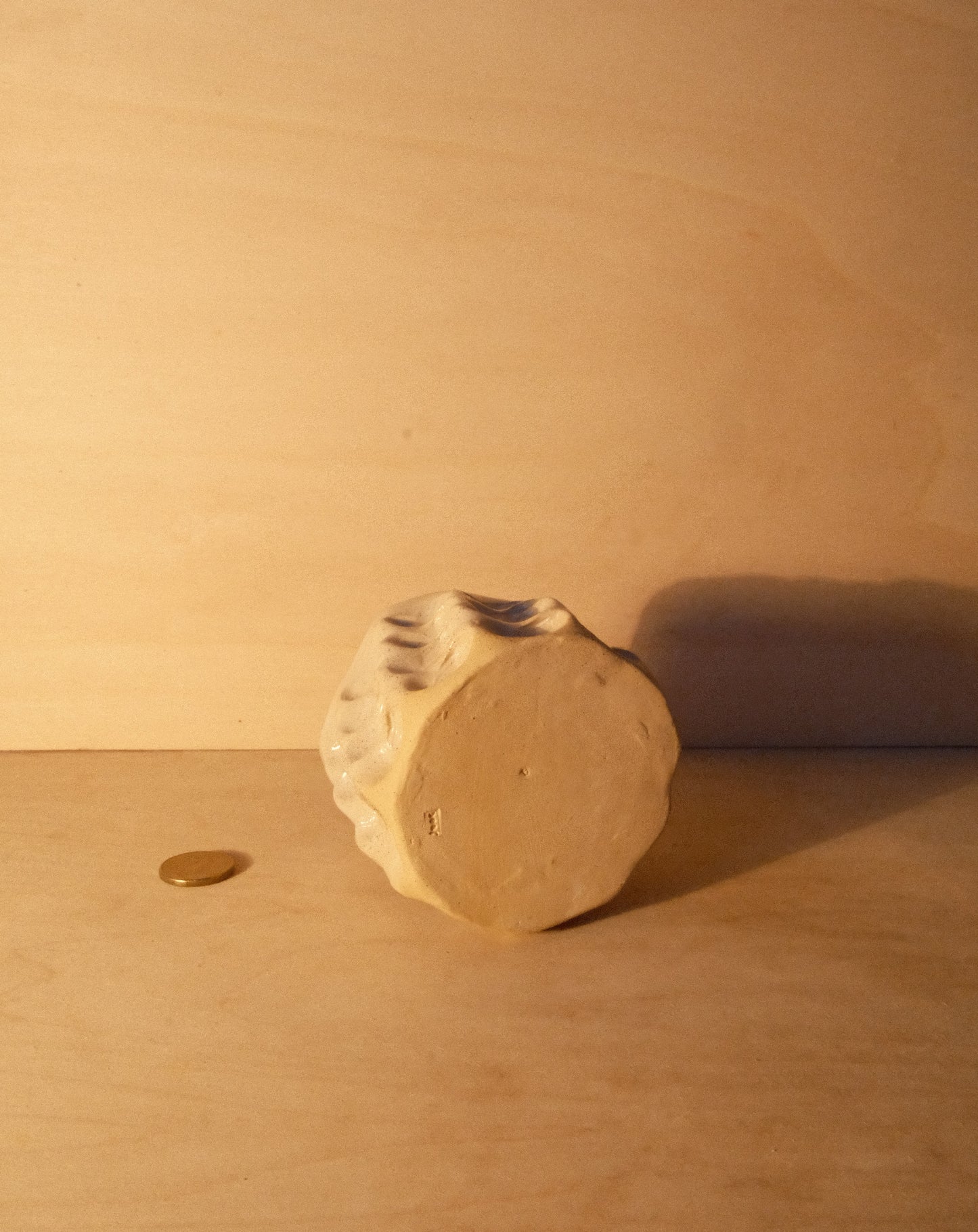 DUSK MOREL CUP 009