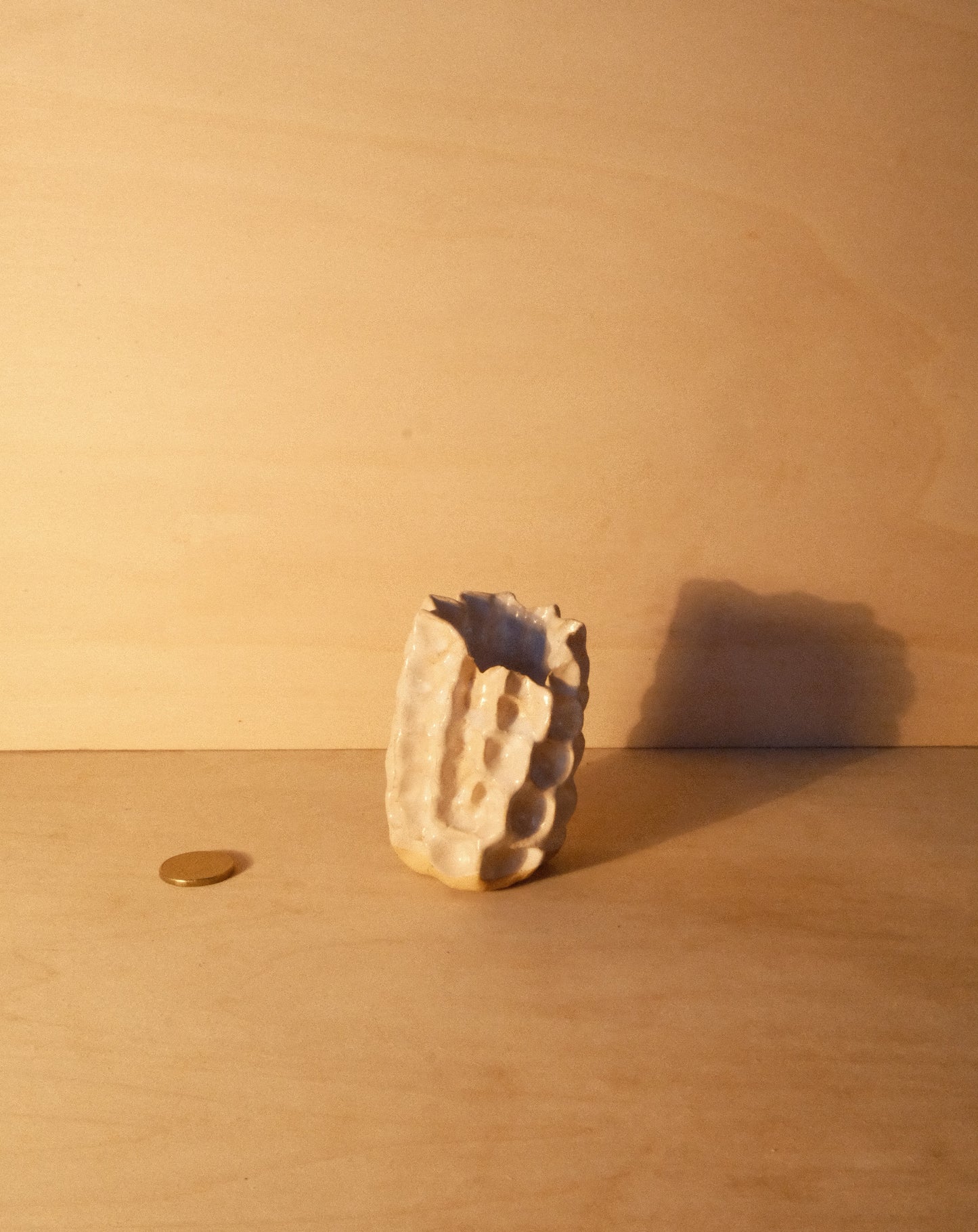 WHITE MOREL VASE 003