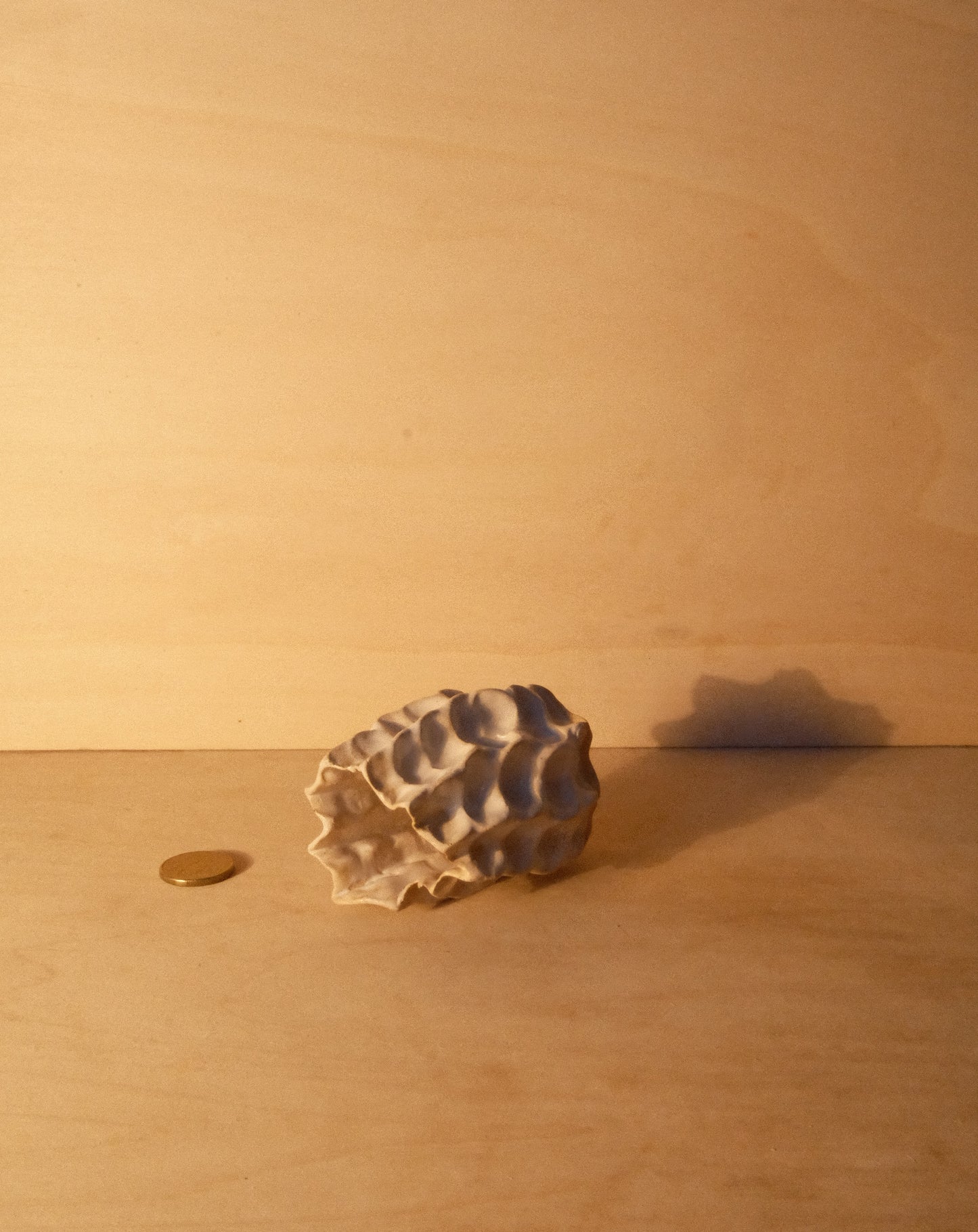 WHITE MOREL VASE 003