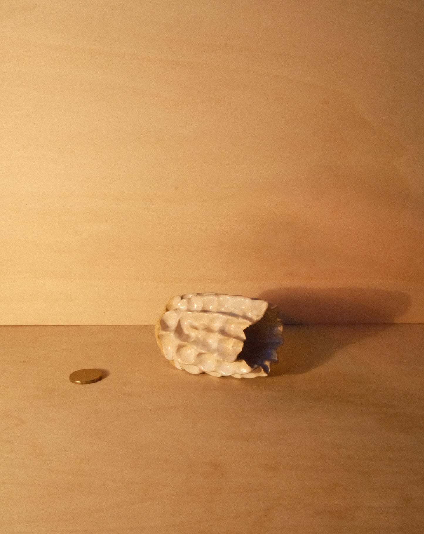 WHITE MOREL VASE 003