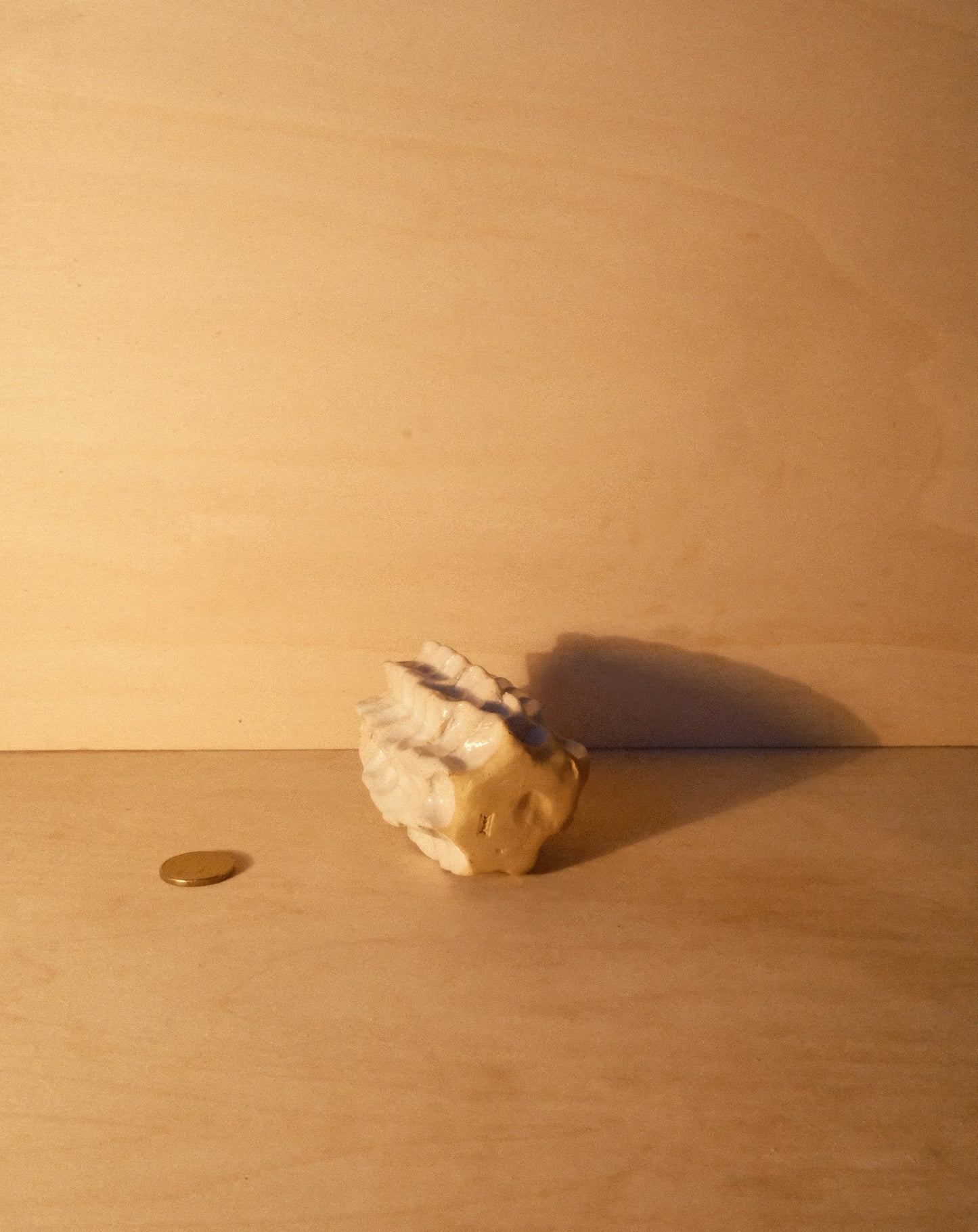 WHITE MOREL VASE 003