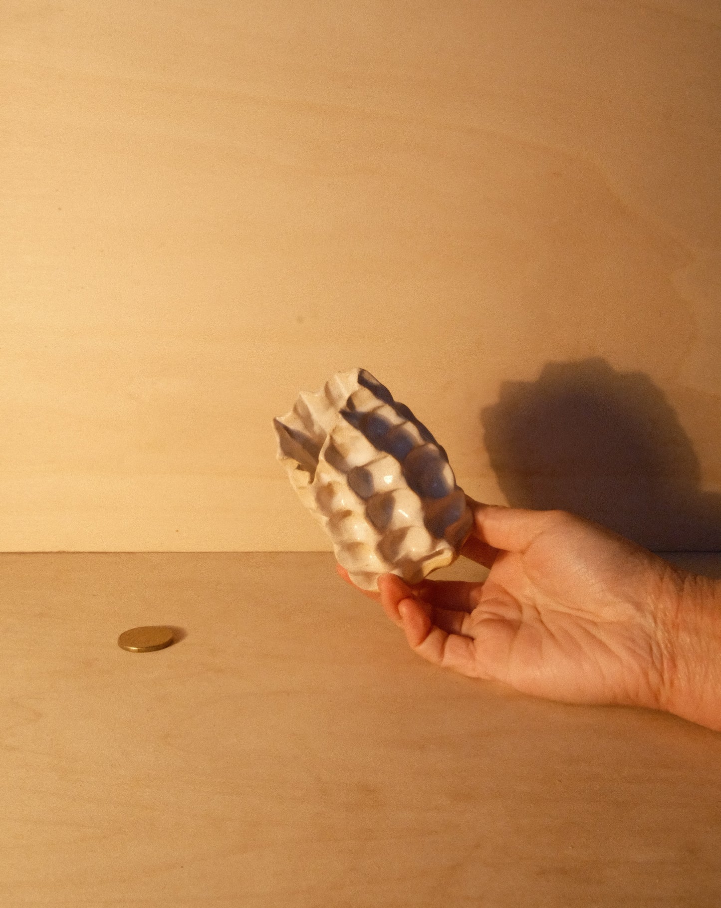 WHITE MOREL VASE 003