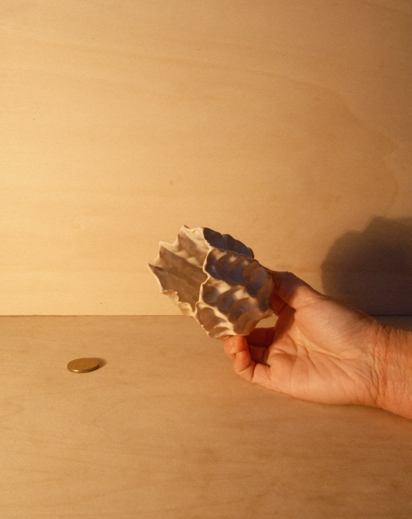WHITE MOREL VASE 003