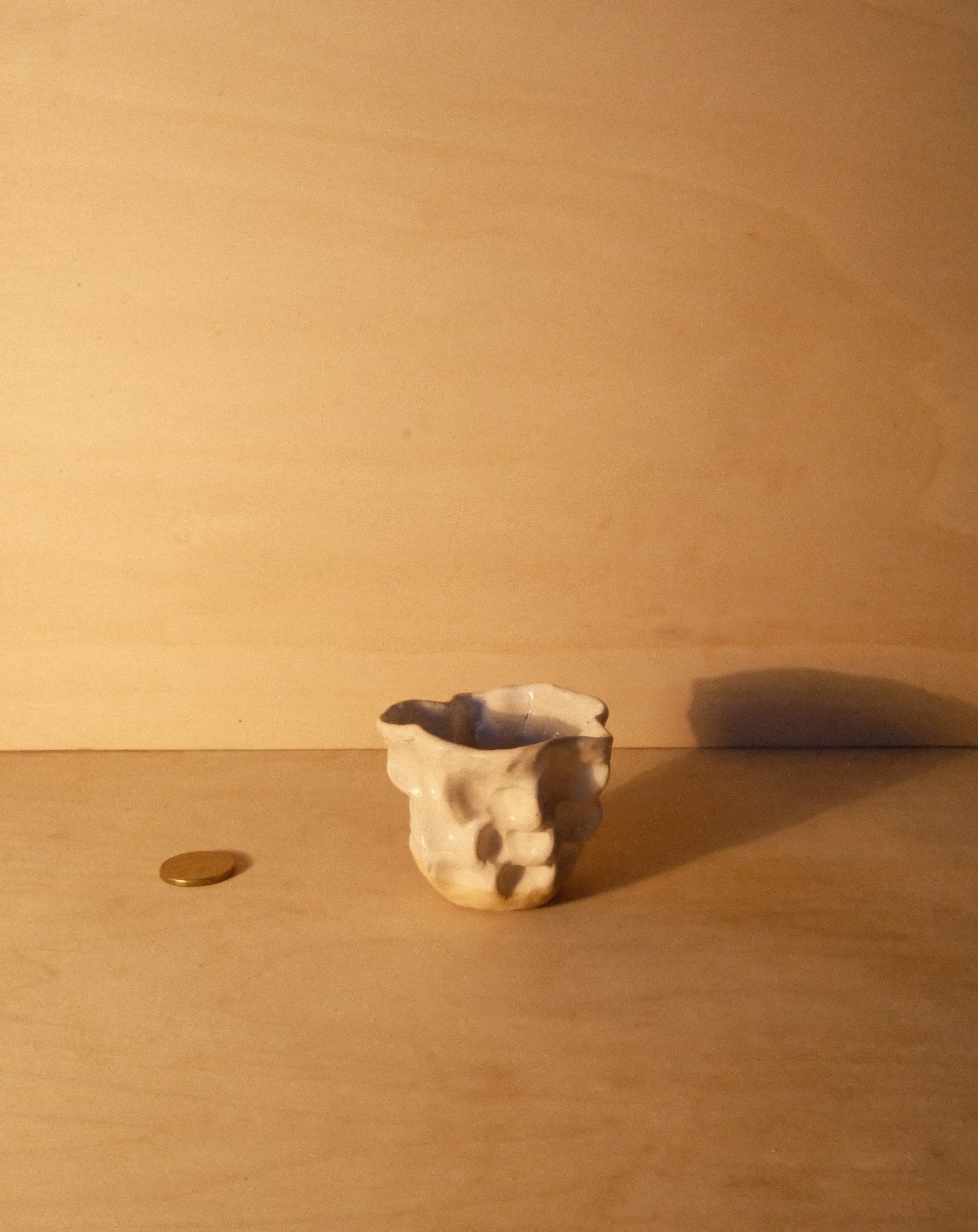 WHITE MOREL CUP 011