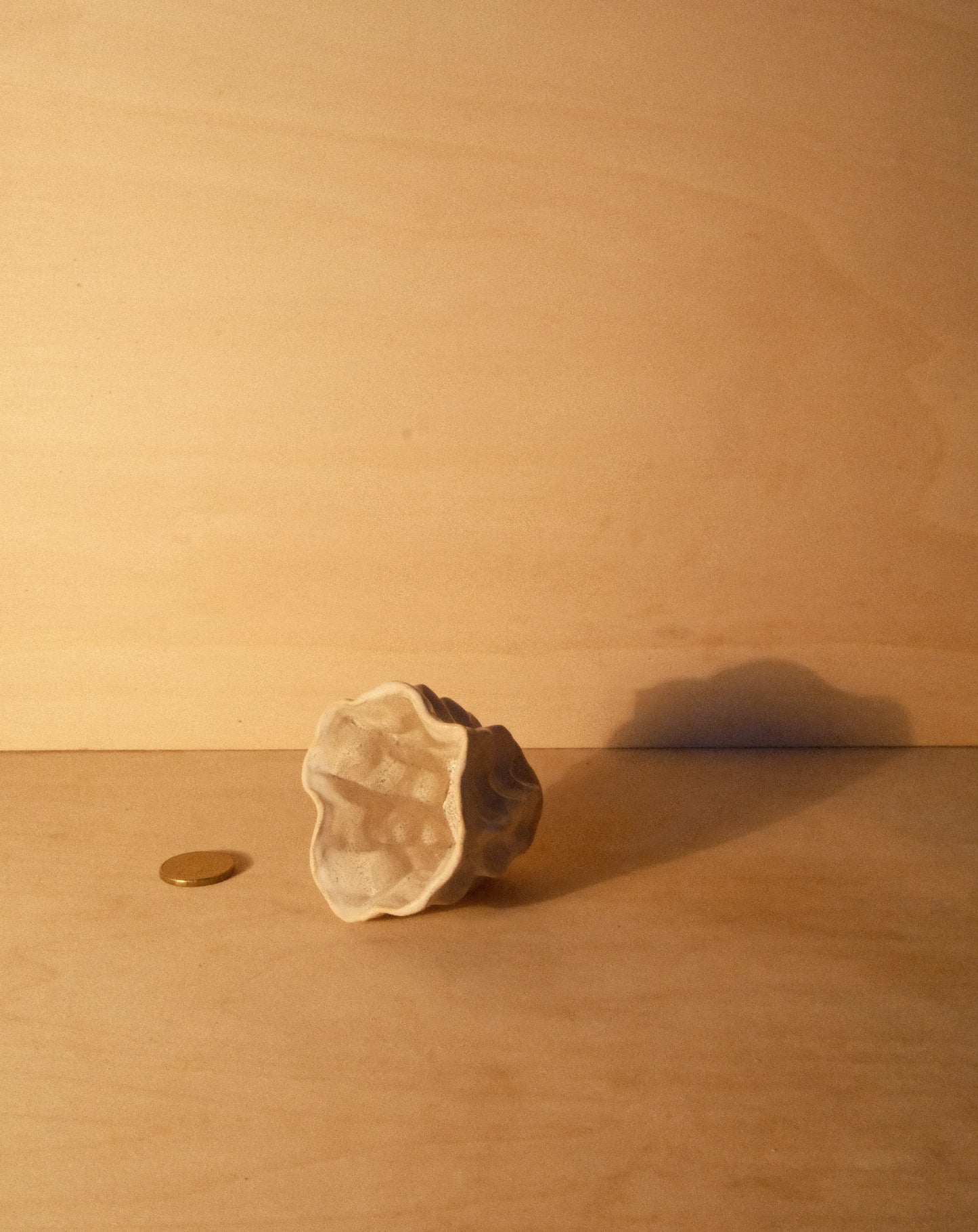 WHITE MOREL CUP 011