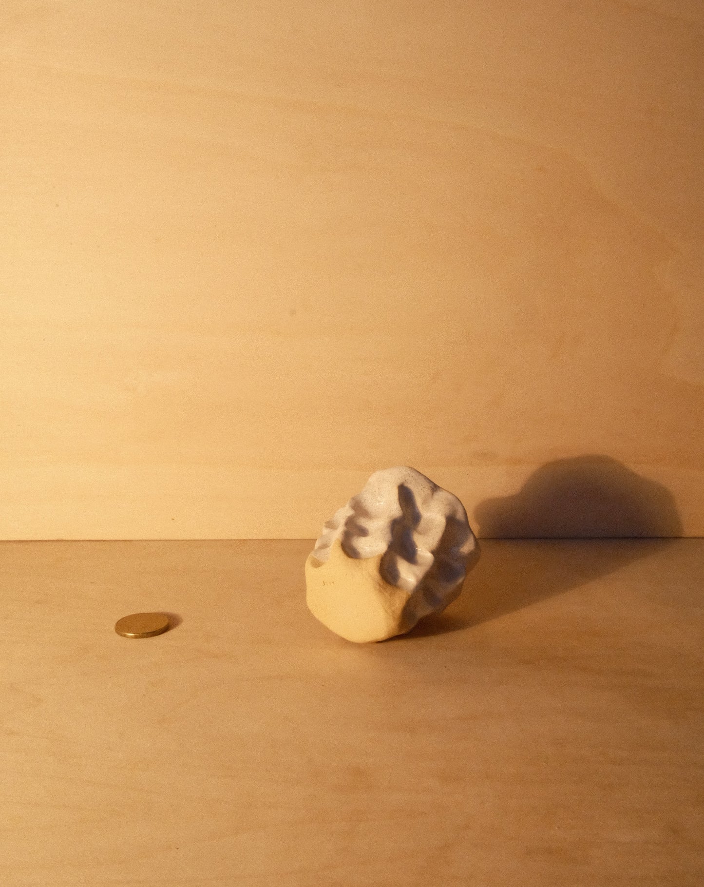 WHITE MOREL CUP 011
