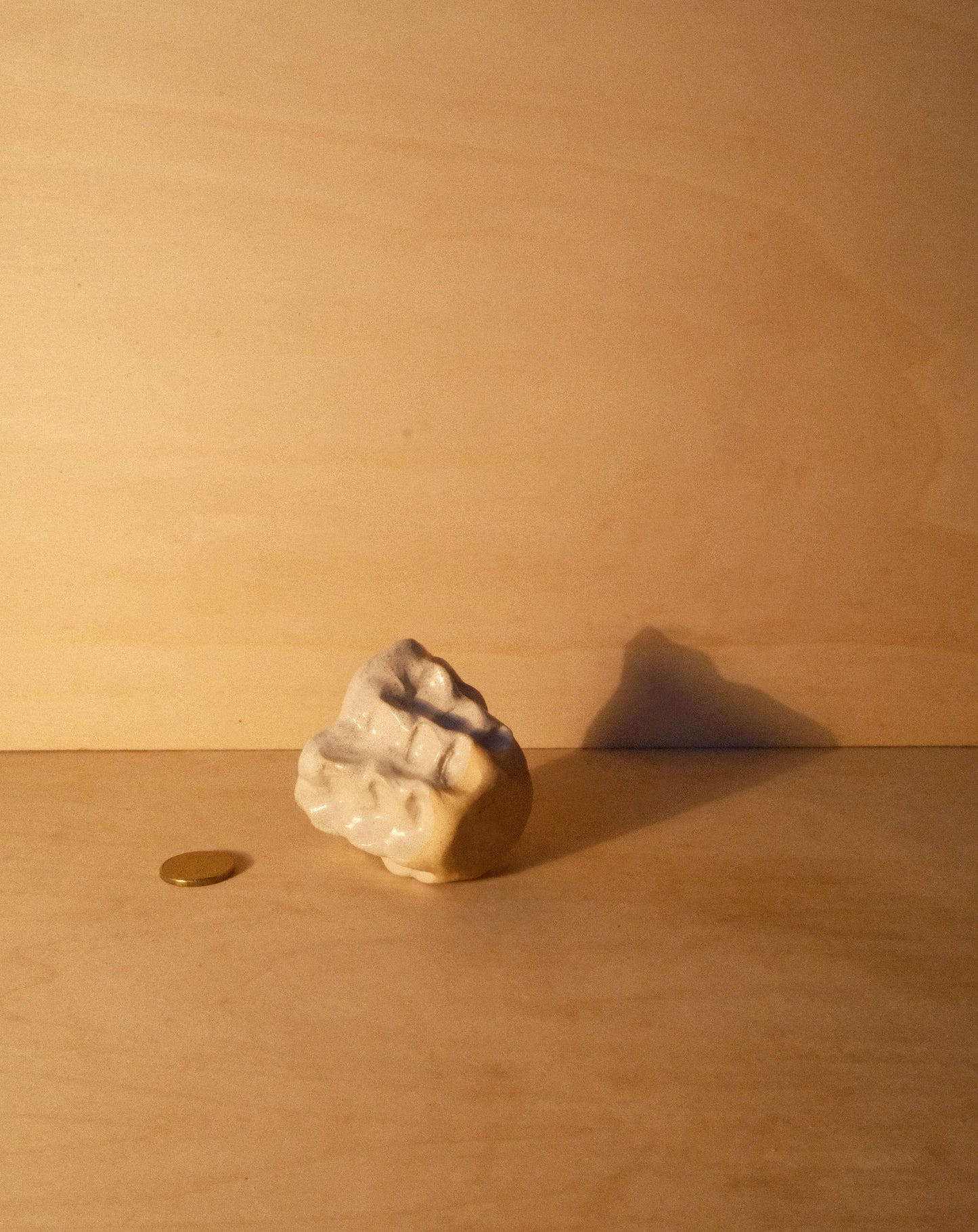 WHITE MOREL CUP 011