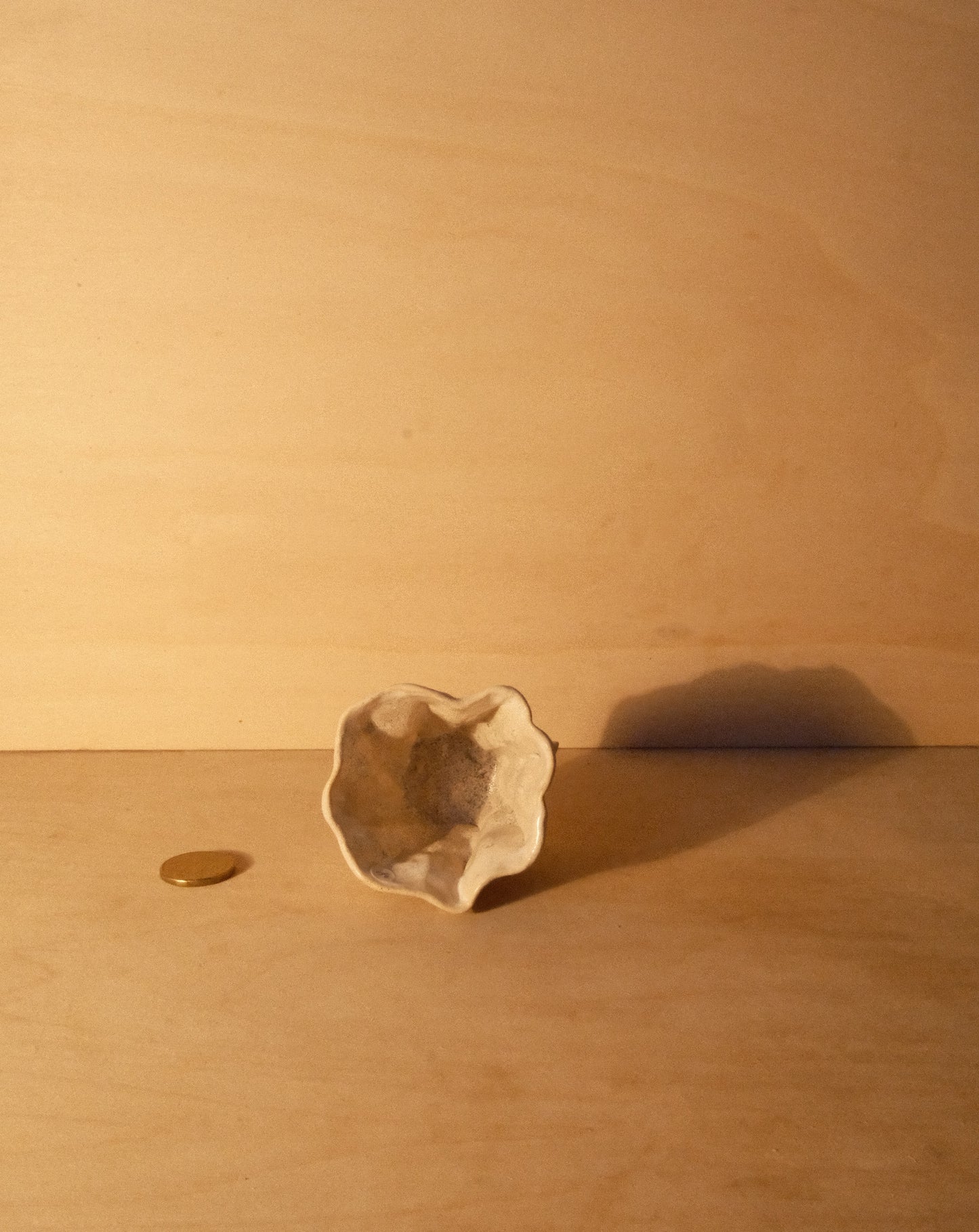 WHITE MOREL CUP 011