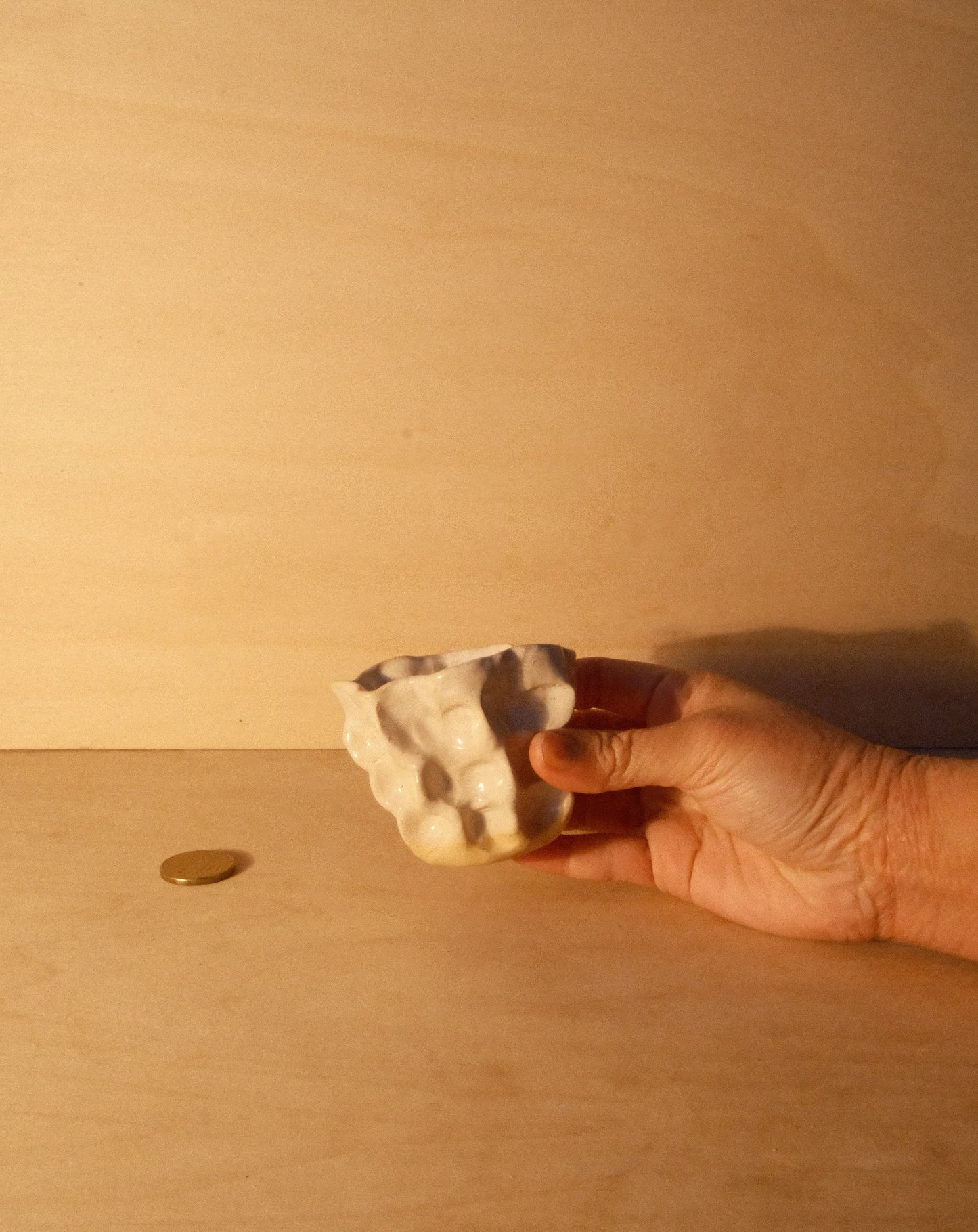 WHITE MOREL CUP 011