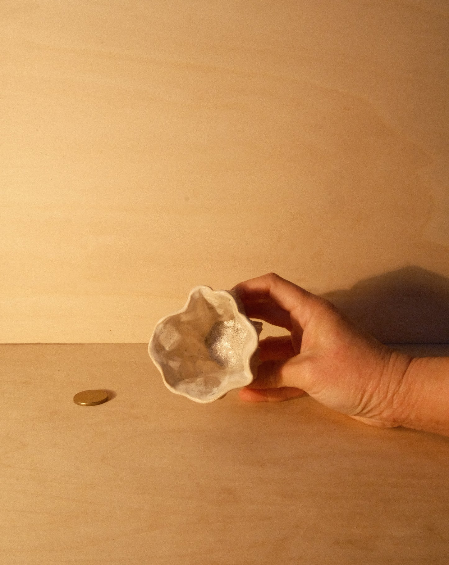 WHITE MOREL CUP 011