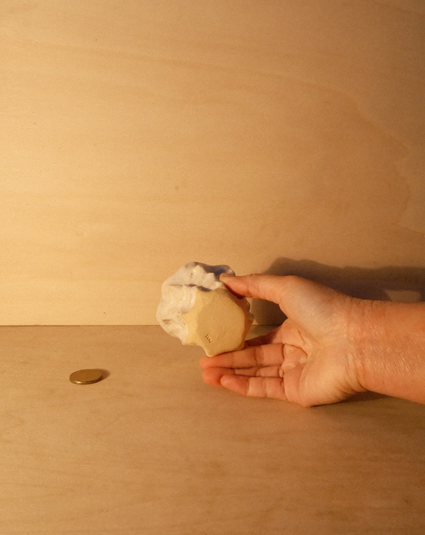 WHITE MOREL CUP 011