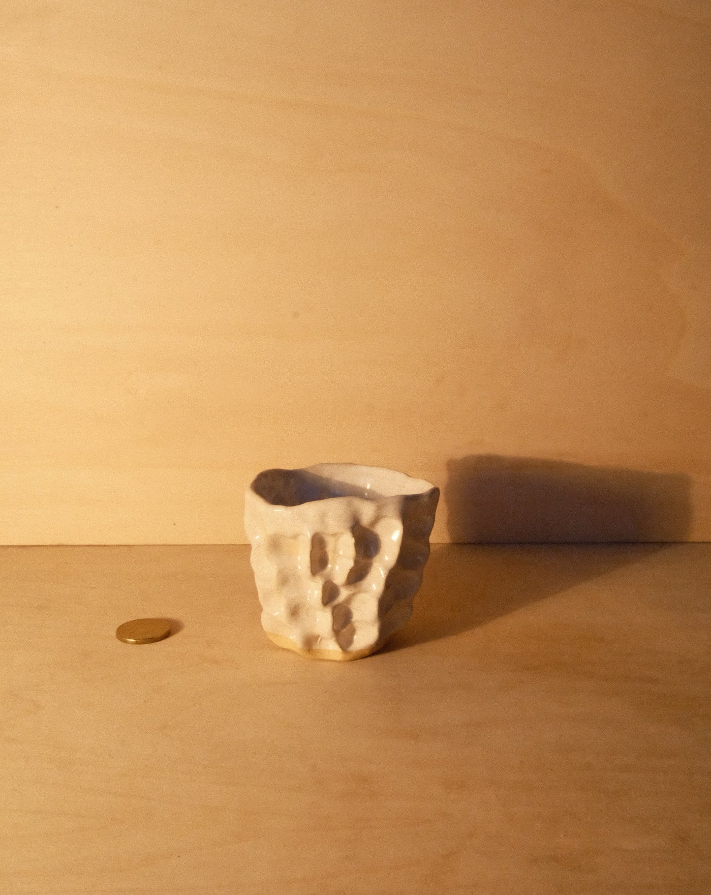 WHITE MOREL CUP 012