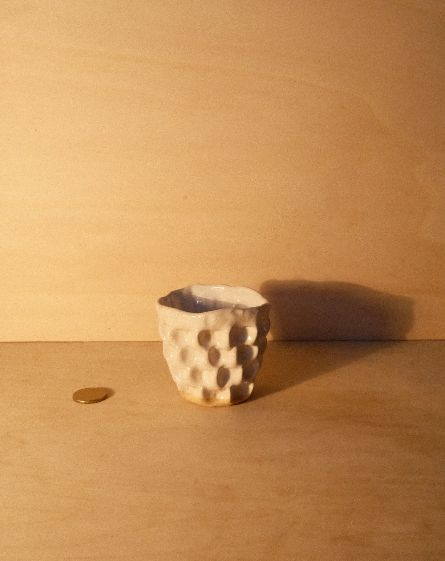 WHITE MOREL CUP 012