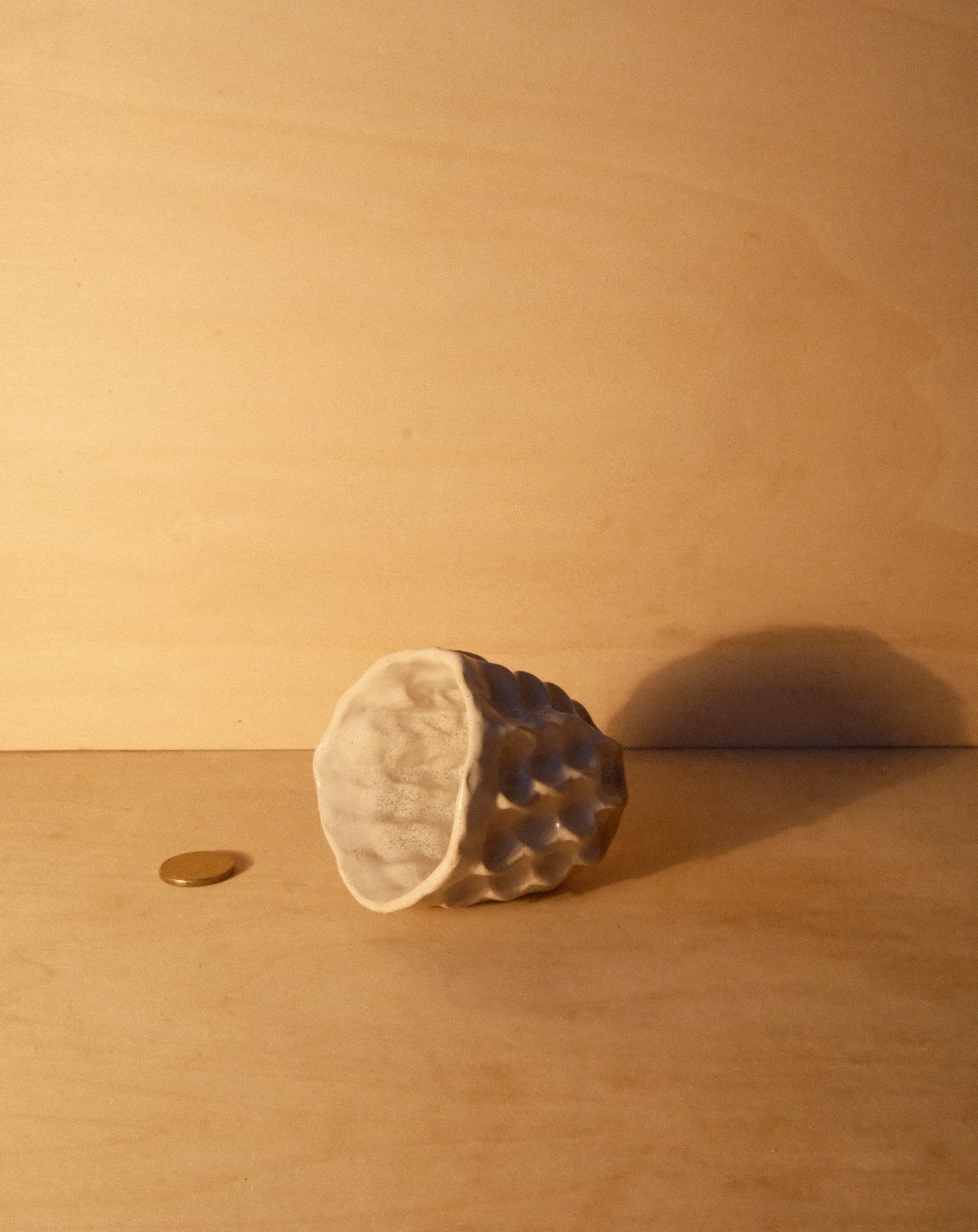 WHITE MOREL CUP 012