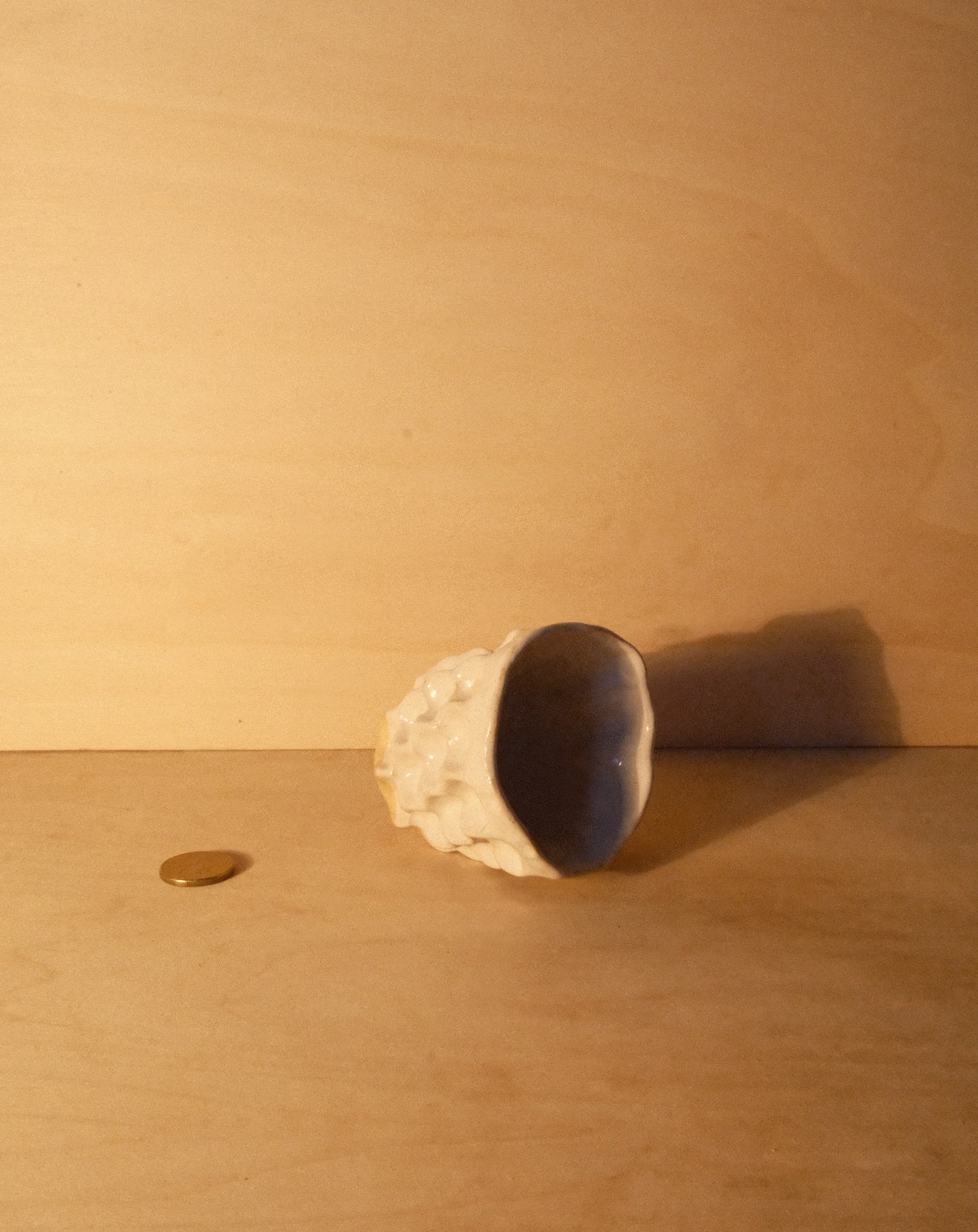 WHITE MOREL CUP 012